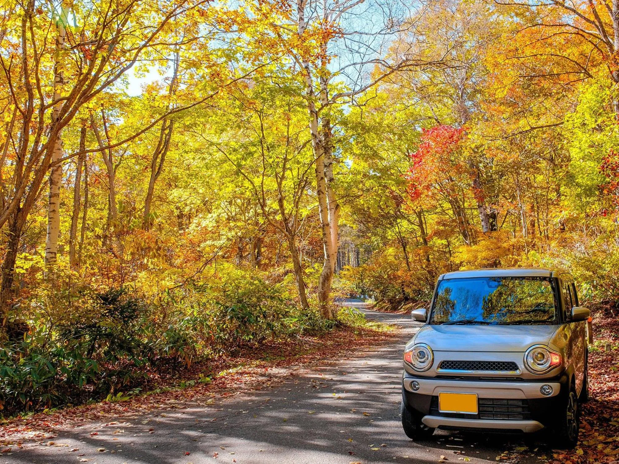 Nearby landmark in Yunoyado Mochizuki