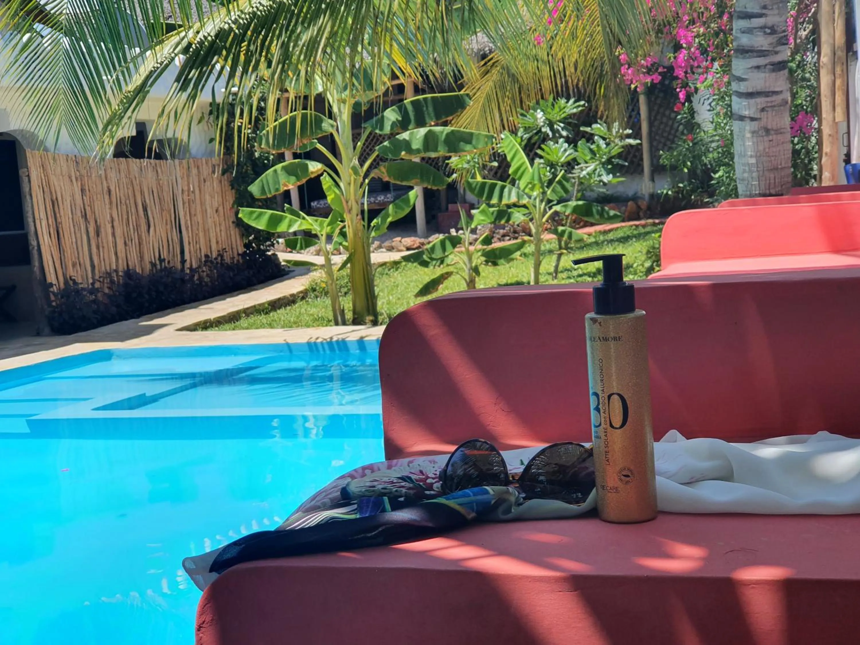 Swimming pool in BARIDI VILLA