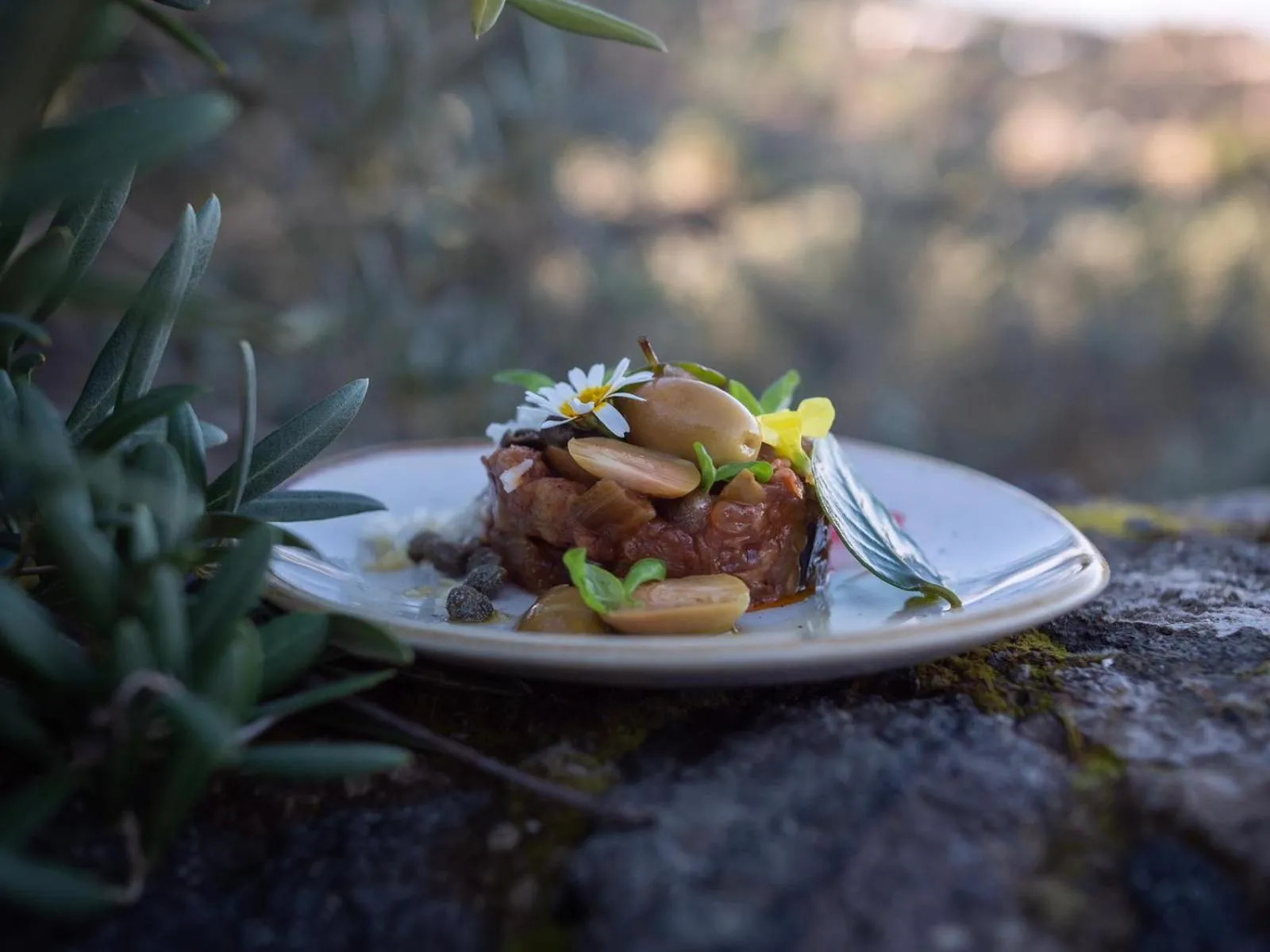 Food and drinks in Pantelleria Dream Resort