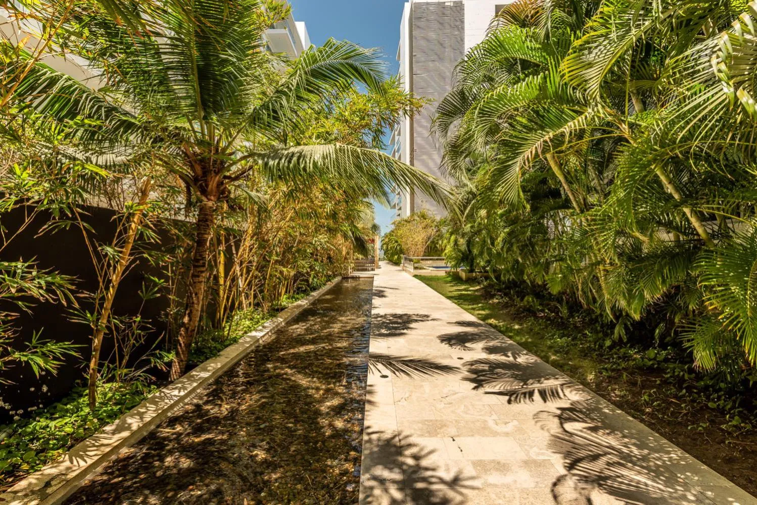 Garden in Edificio Morros Vitri Lujo con Panorama