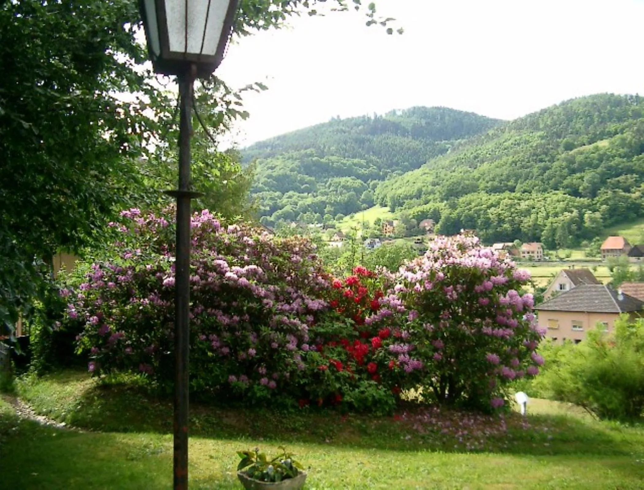 Garden in Le Chalet