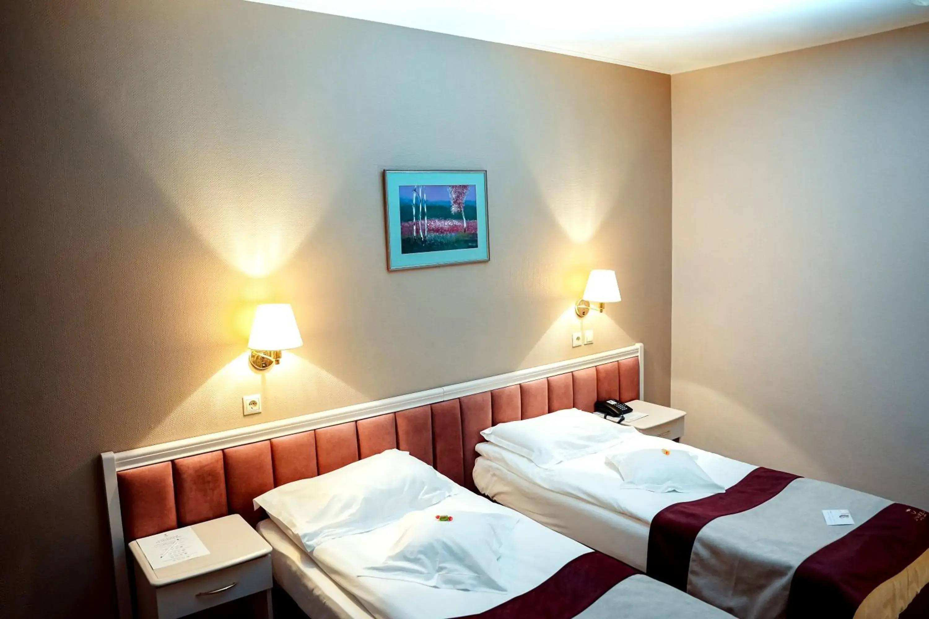 Business Twin Room - single occupancy - Non-Smoking in Unirea Hotel & Spa Business Twin Room - single occupancy - Non-Smoking in Unirea Hotel & Spa