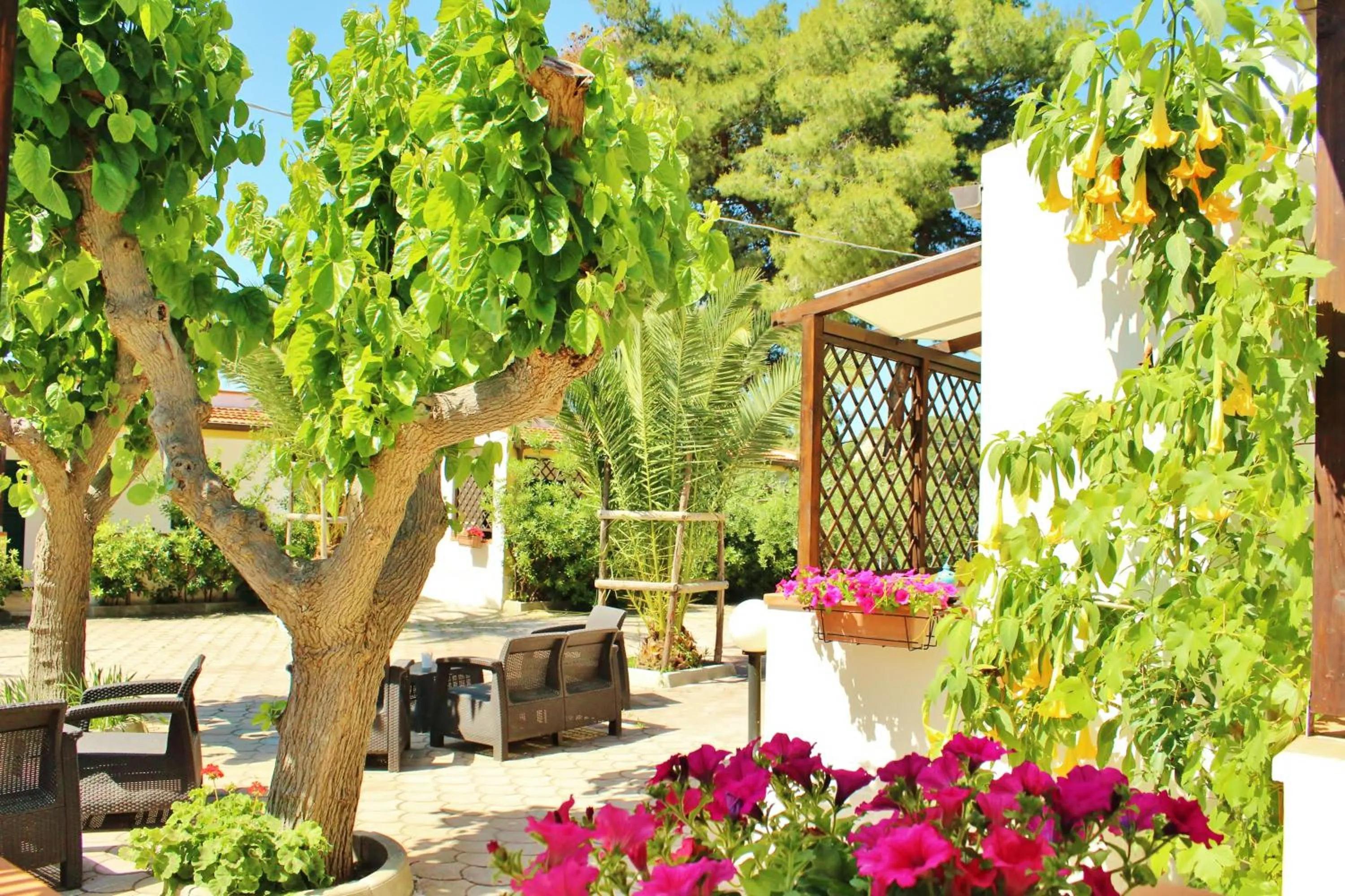 Patio in Residence Rendez Vous