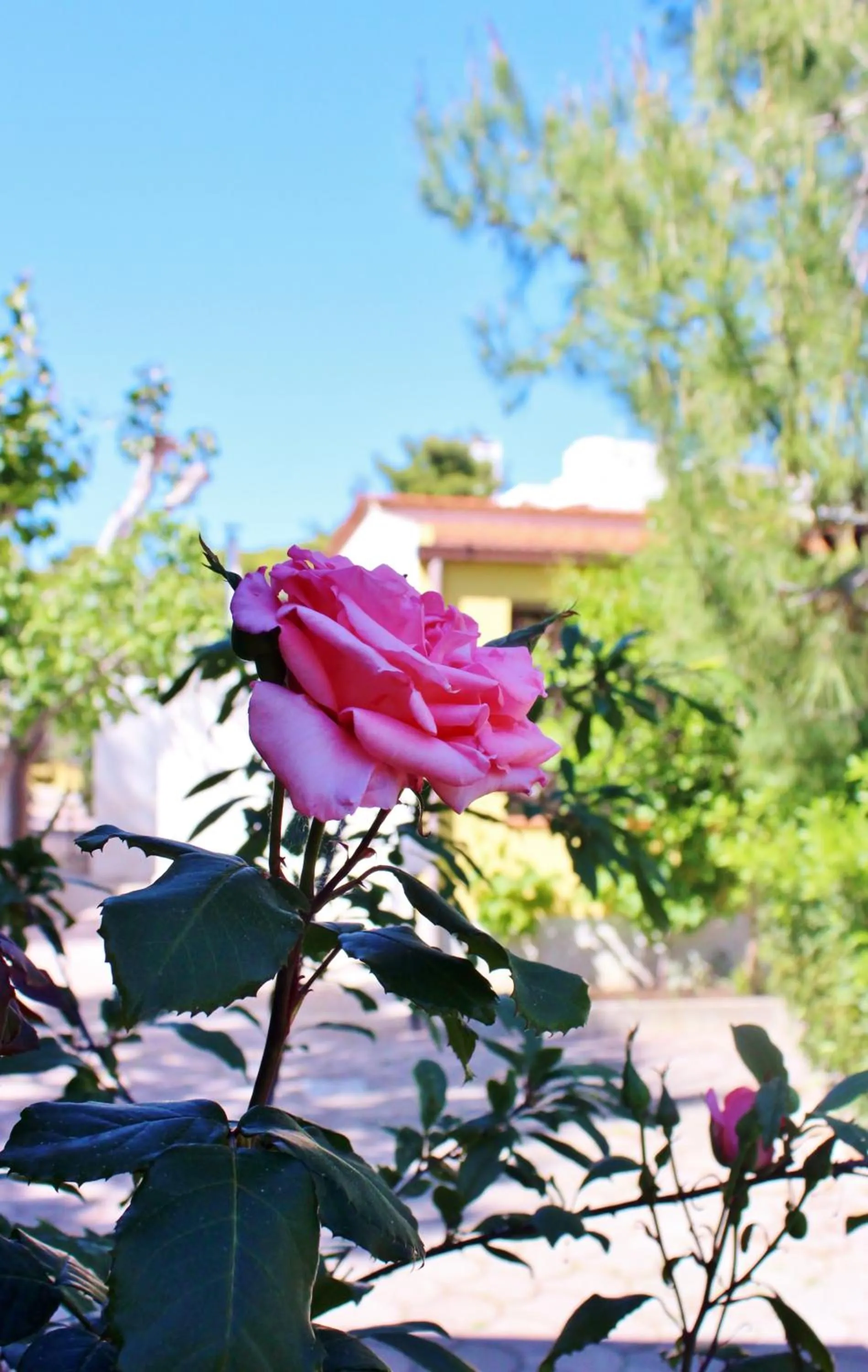 Decorative detail in Residence Rendez Vous
