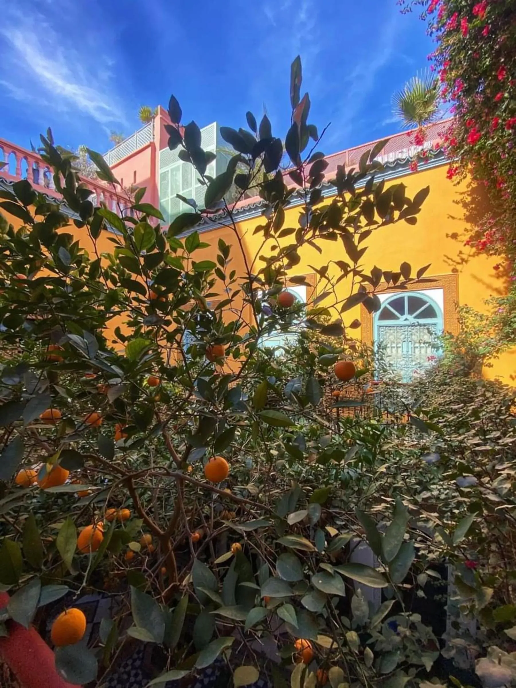 Garden view in Ryad El Borj