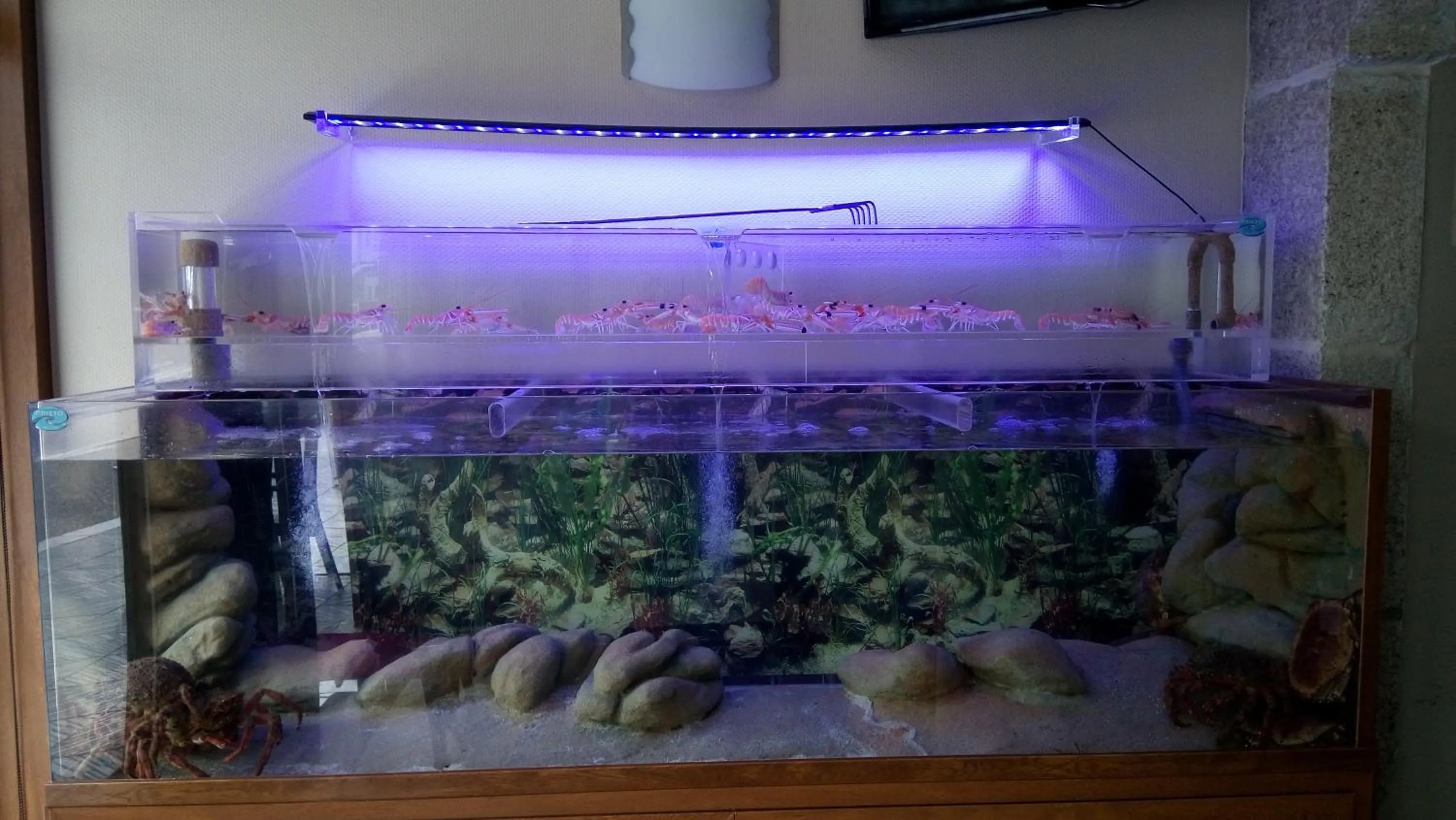 Hotel Caribe Sanxenxo