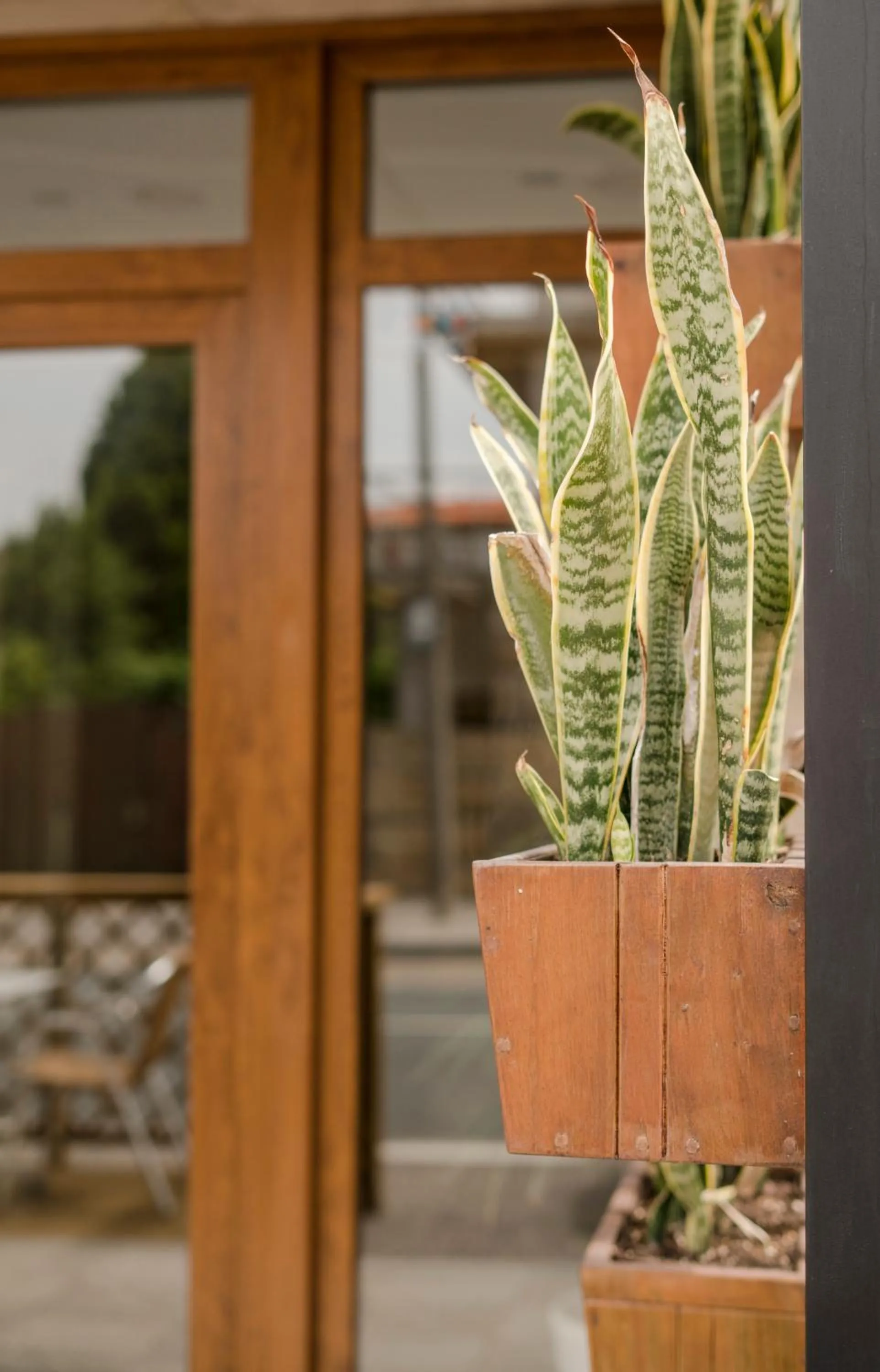 Lobby or reception in Hotel Caribe Sanxenxo