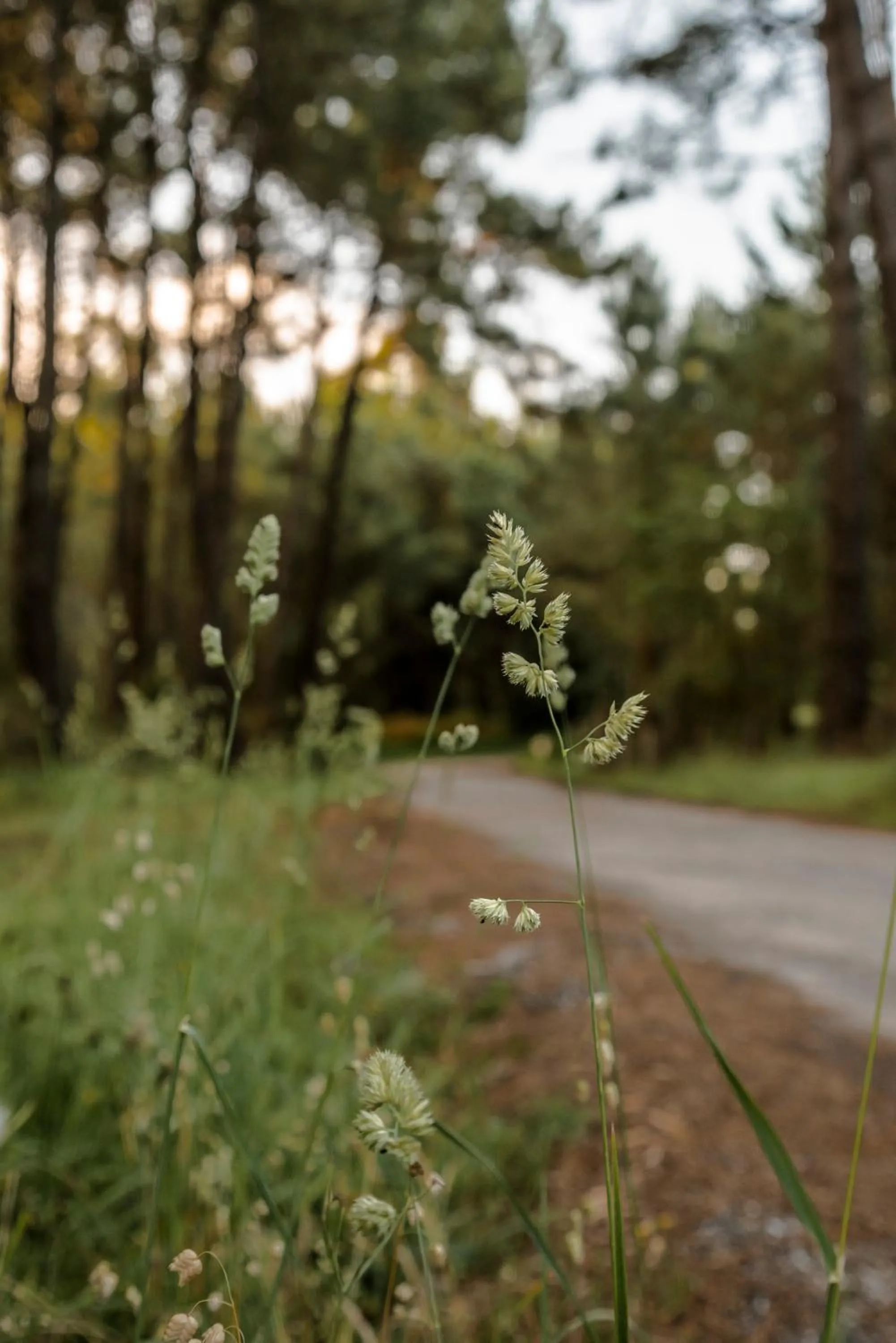 Hotel Caribe Sanxenxo