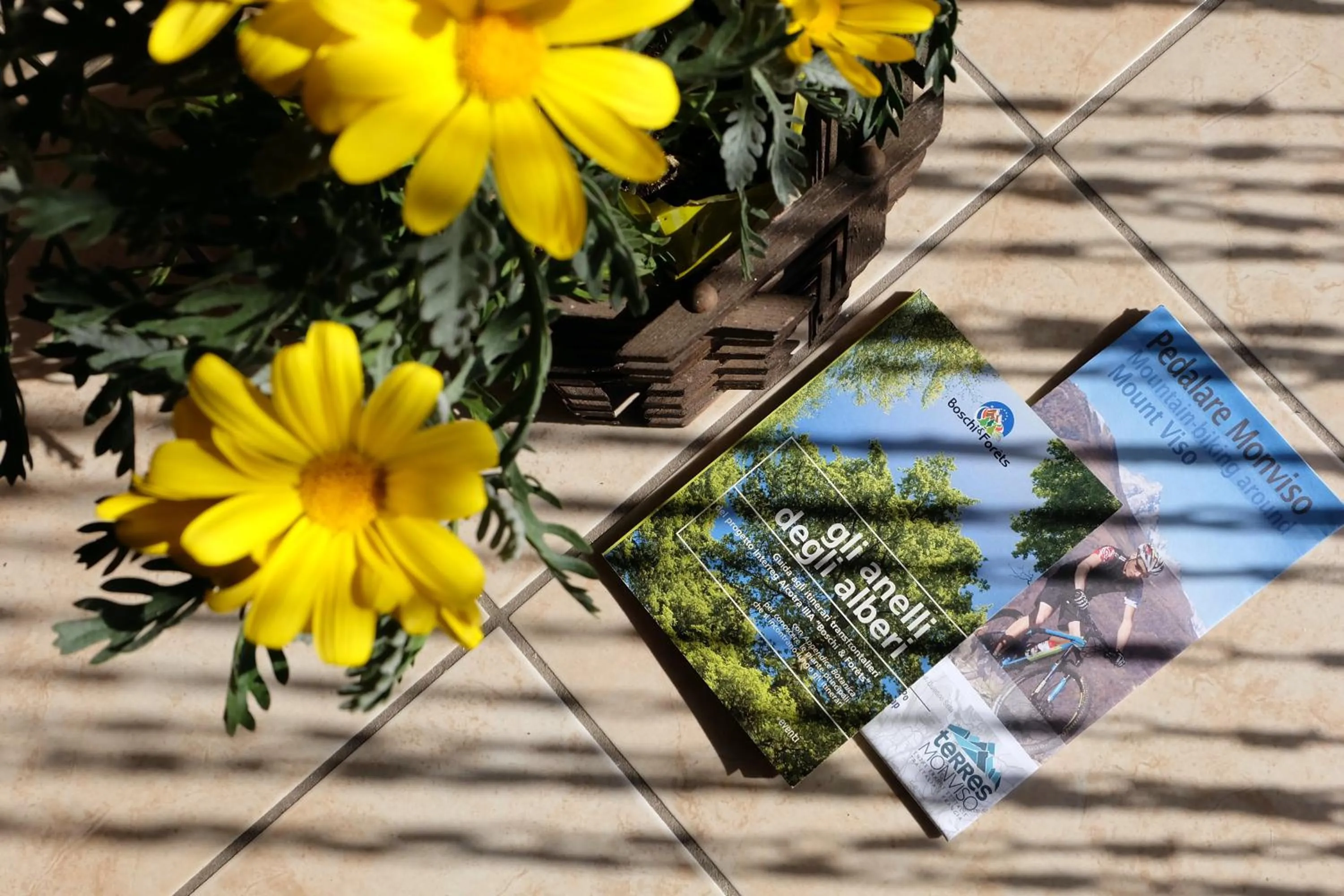 Decorative detail in La Ghiacciaia