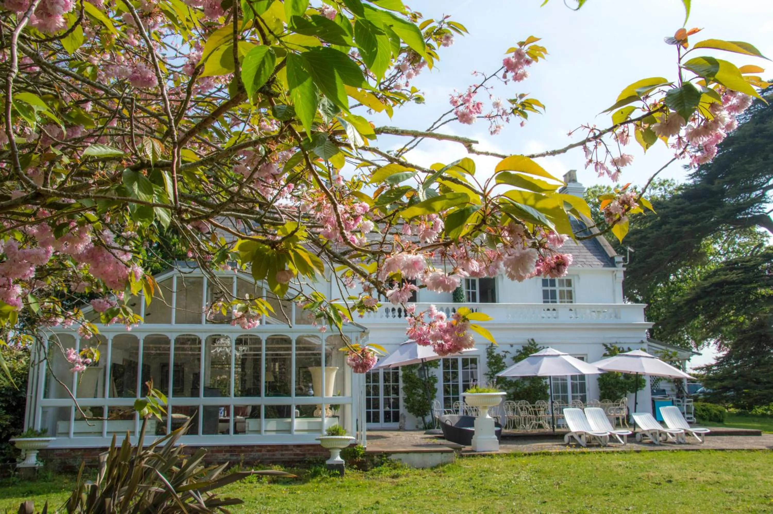 Property building in Cedar House Boutique B&B