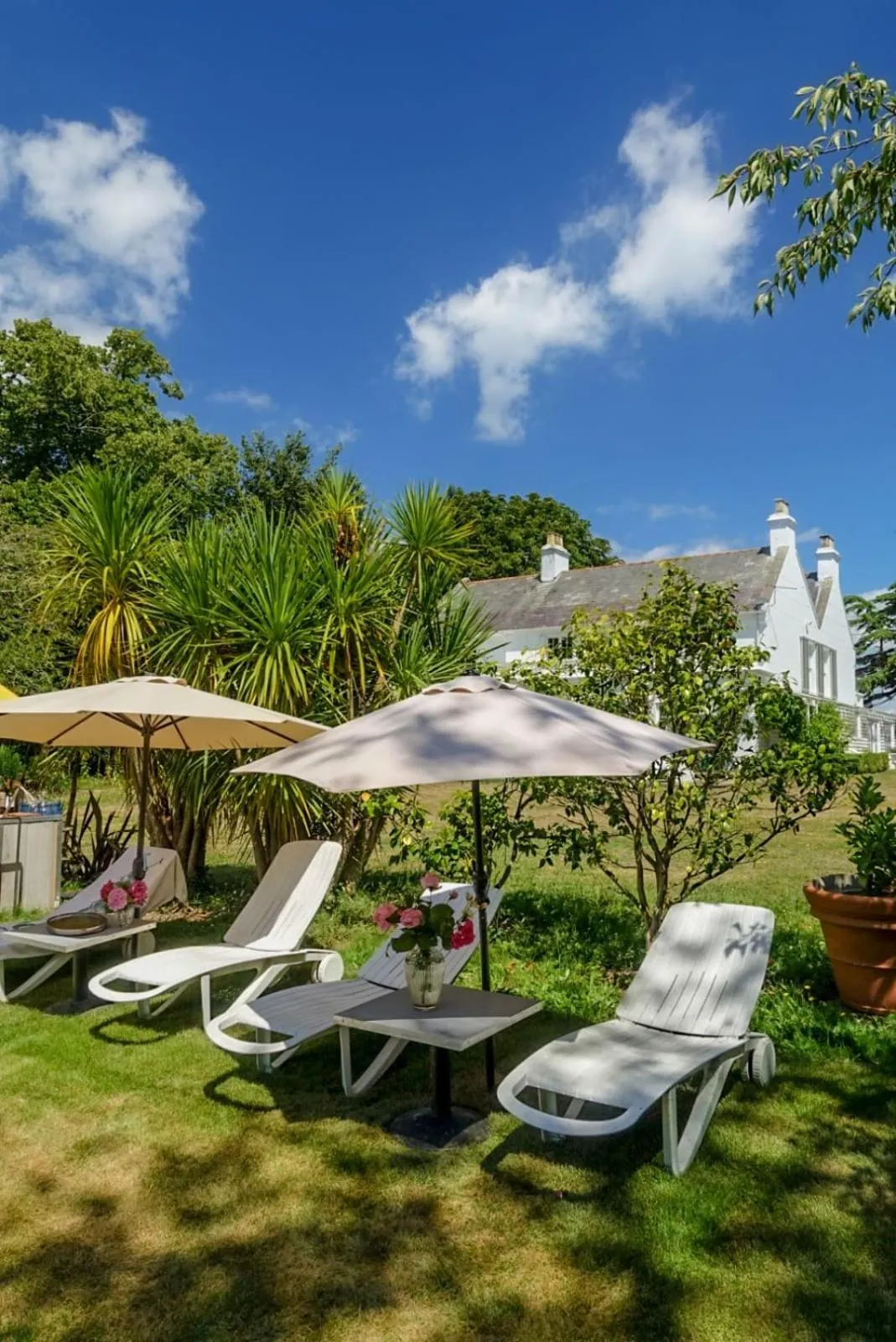 Swimming pool in Cedar House Boutique B&B
