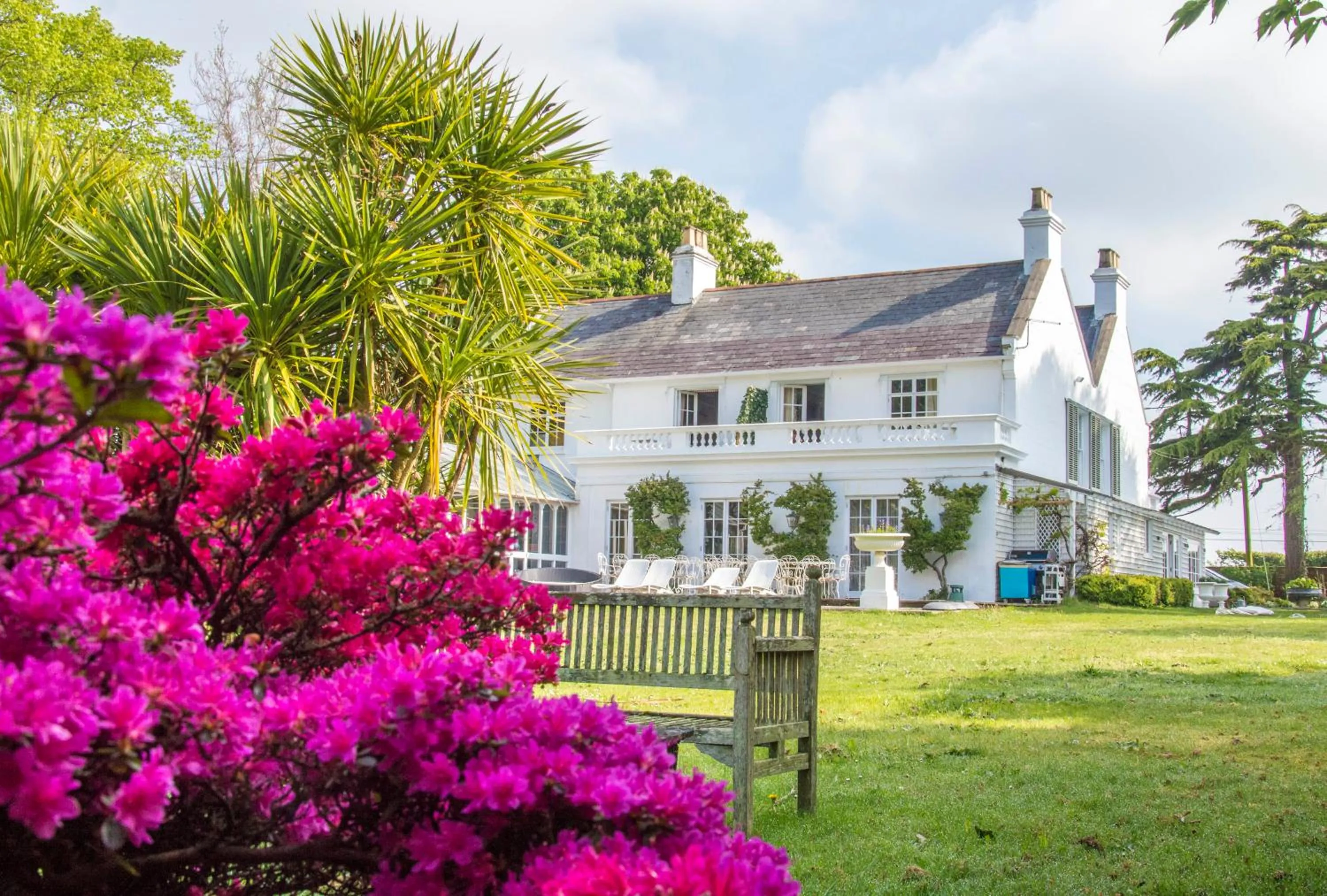 Property building in Cedar House Boutique B&B