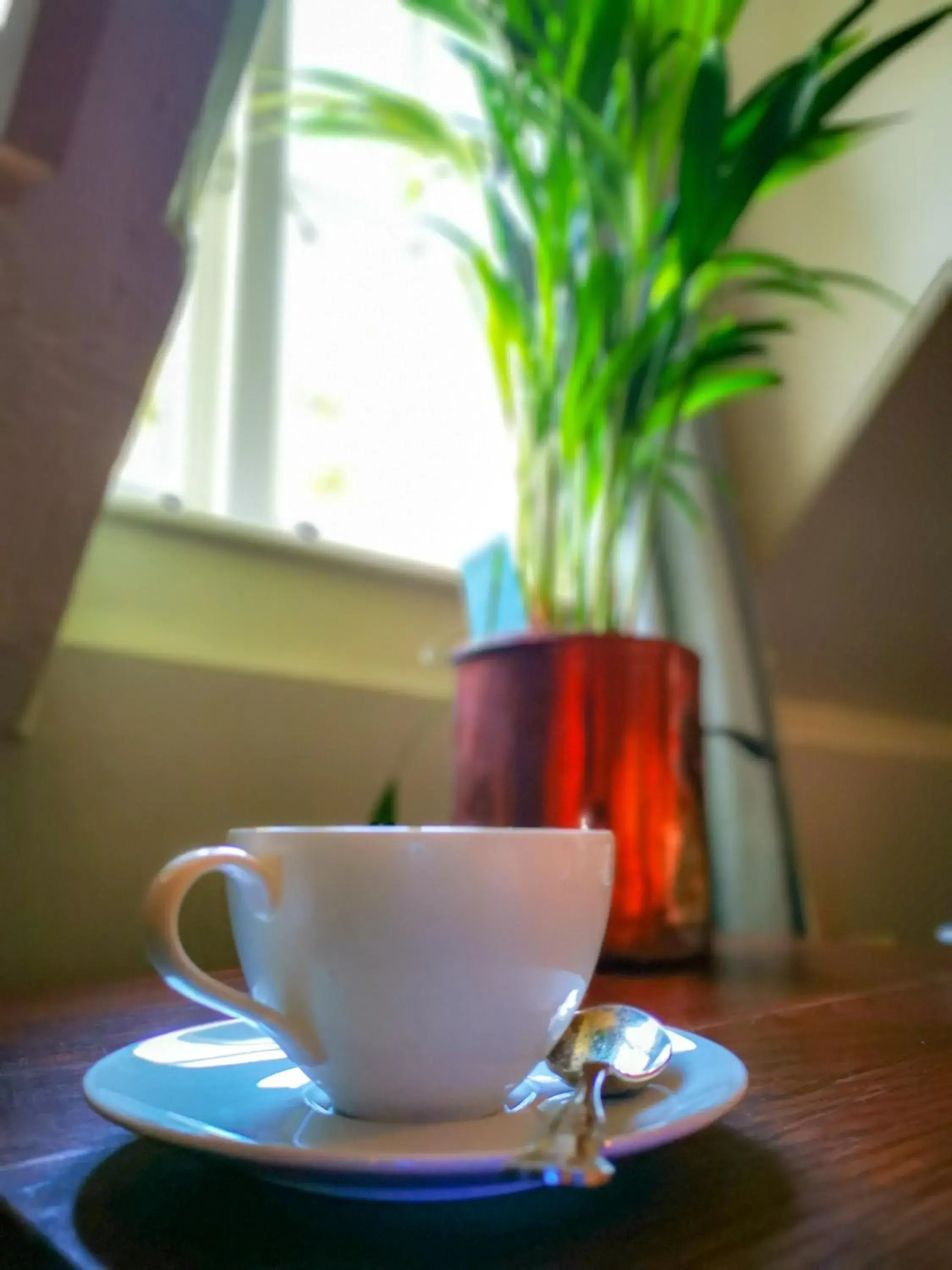 Top Floor Room in Cedar House Boutique B&B Top Floor Room in Cedar House Boutique B&B