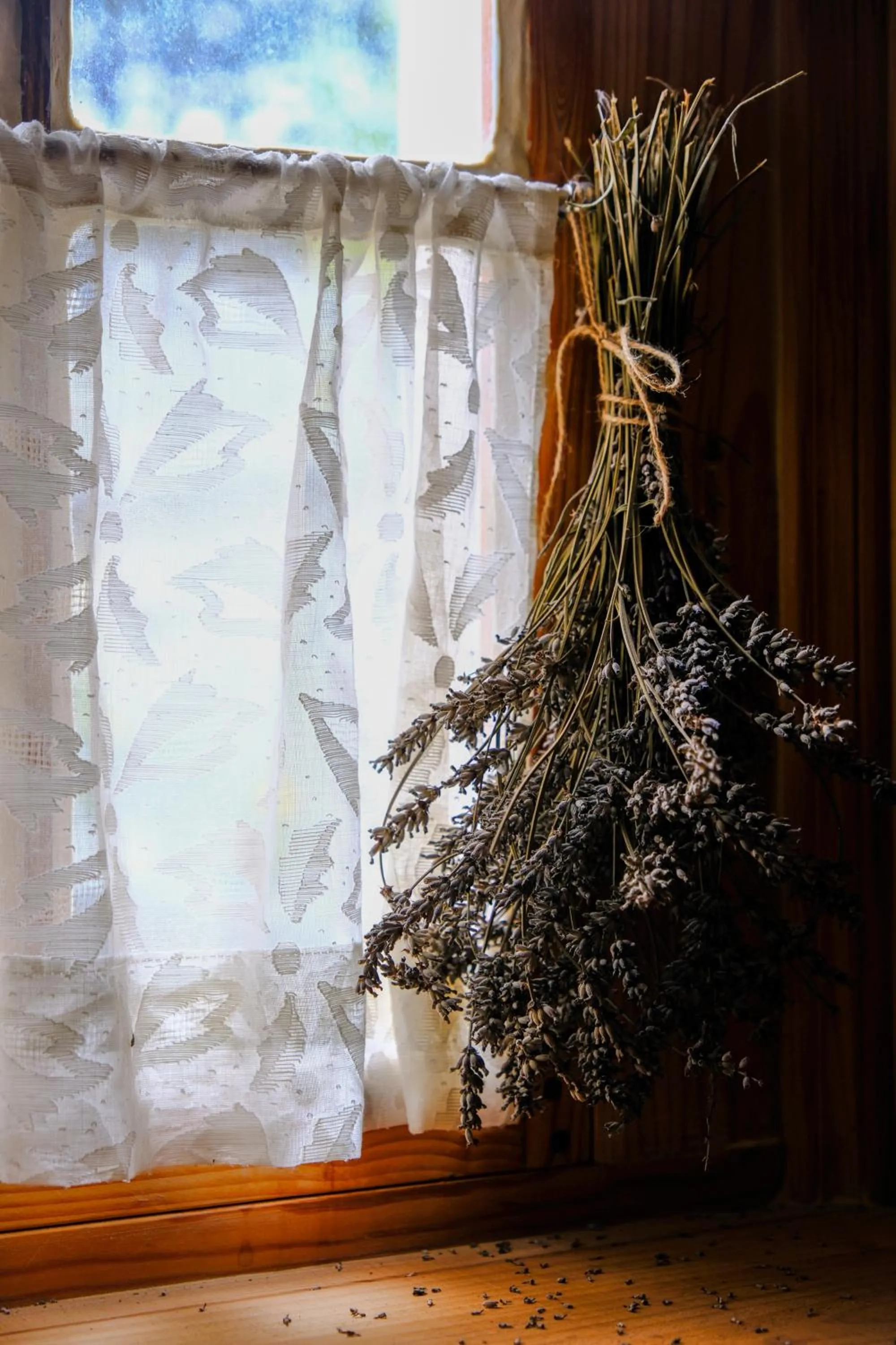 Toilet in Le Rêve d'Aghon Chambres et Restaurant