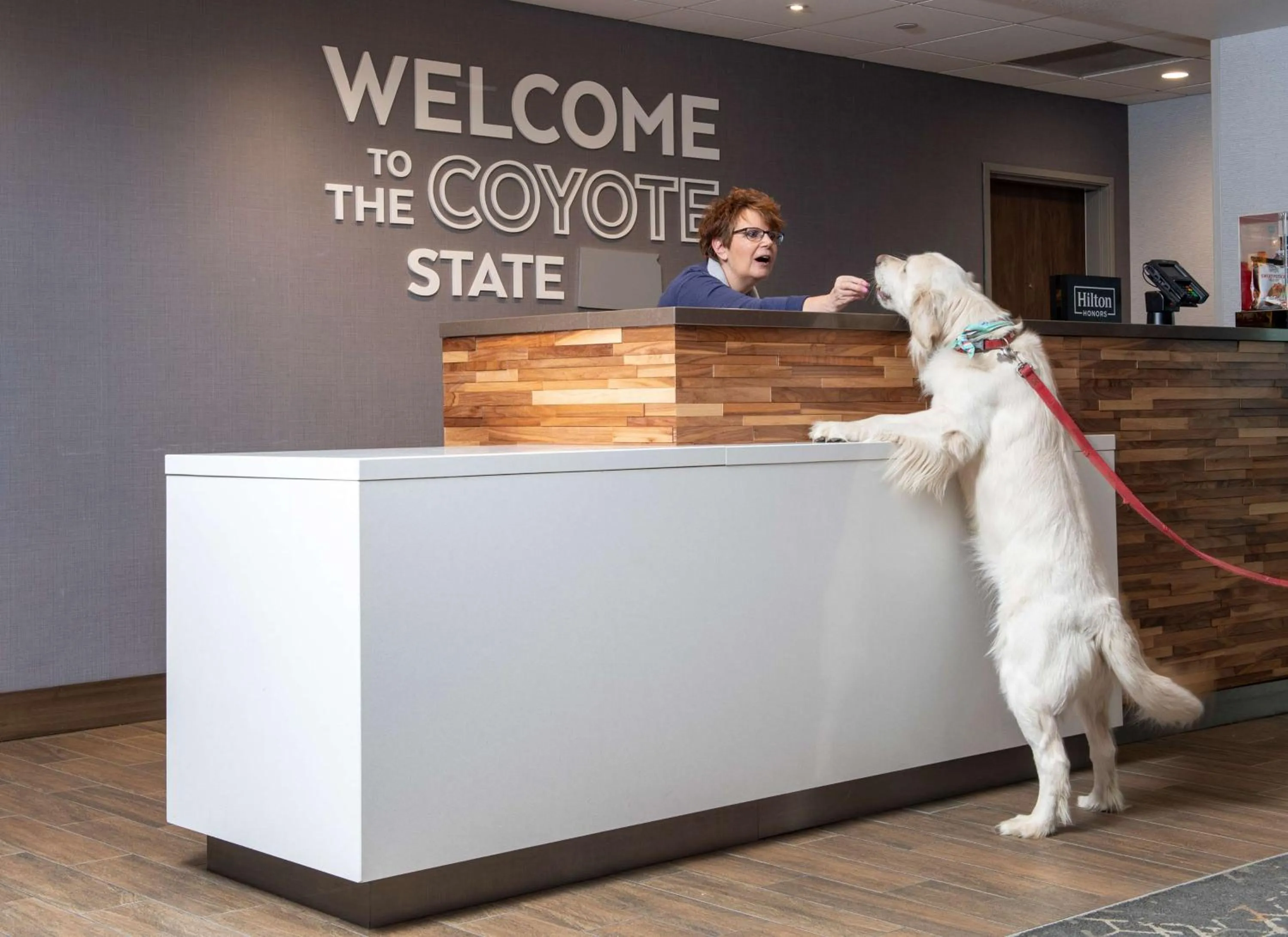 Lobby or reception in Hampton Inn & Suites Rapid City Rushmore, SD