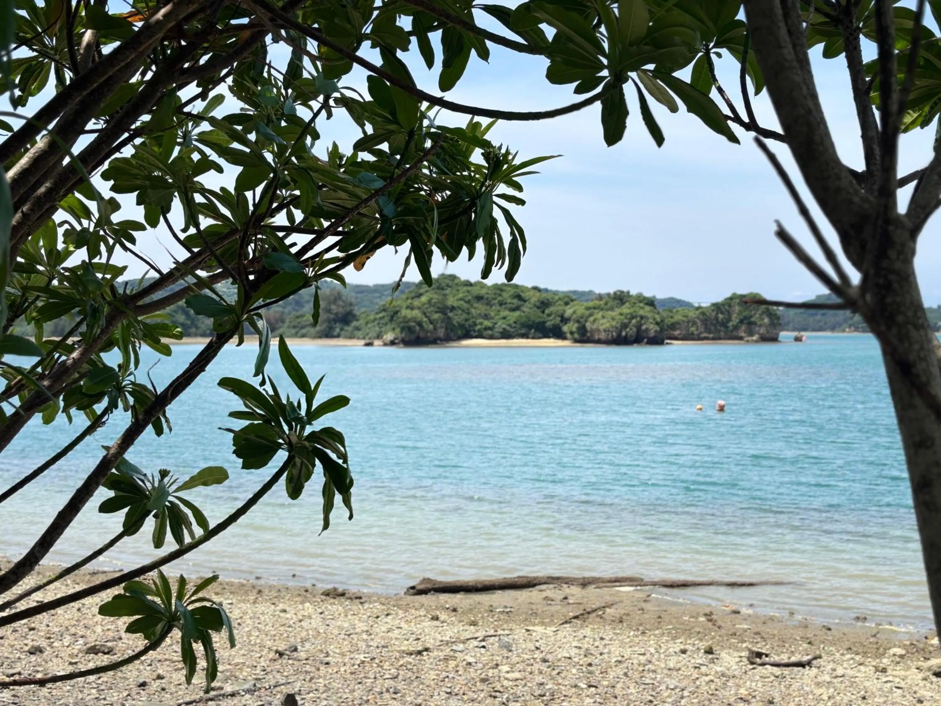 Nel Beach