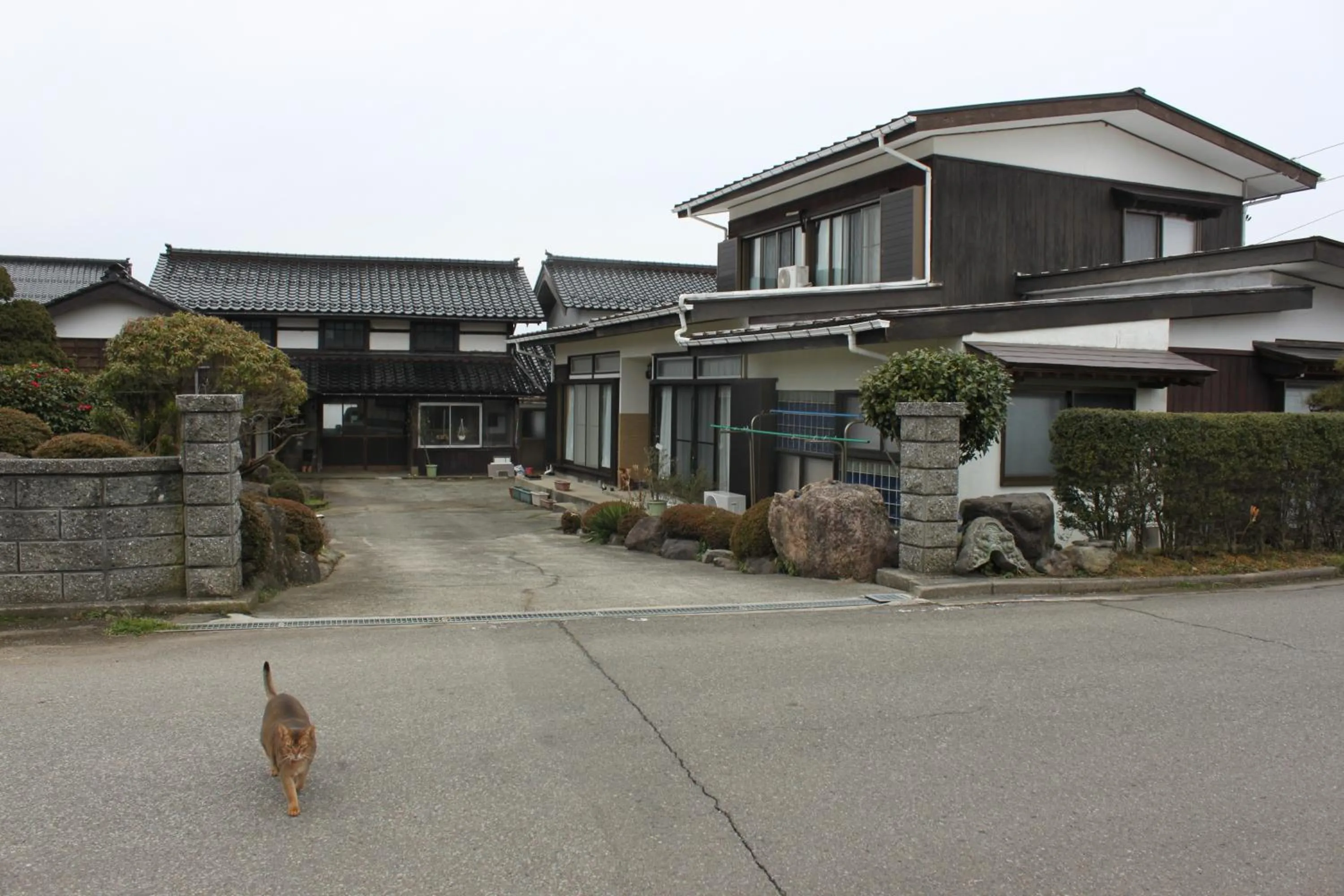 Facade/entrance in Rosencat