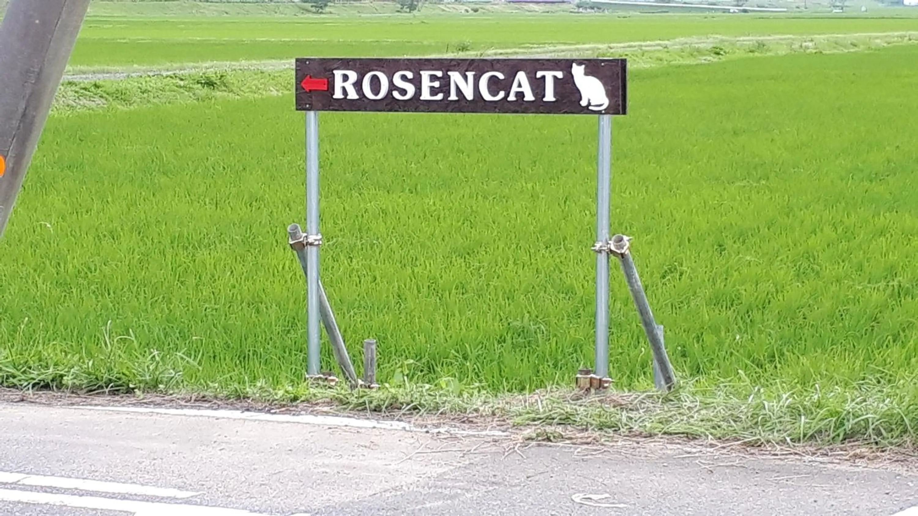 Property logo or sign in Rosencat