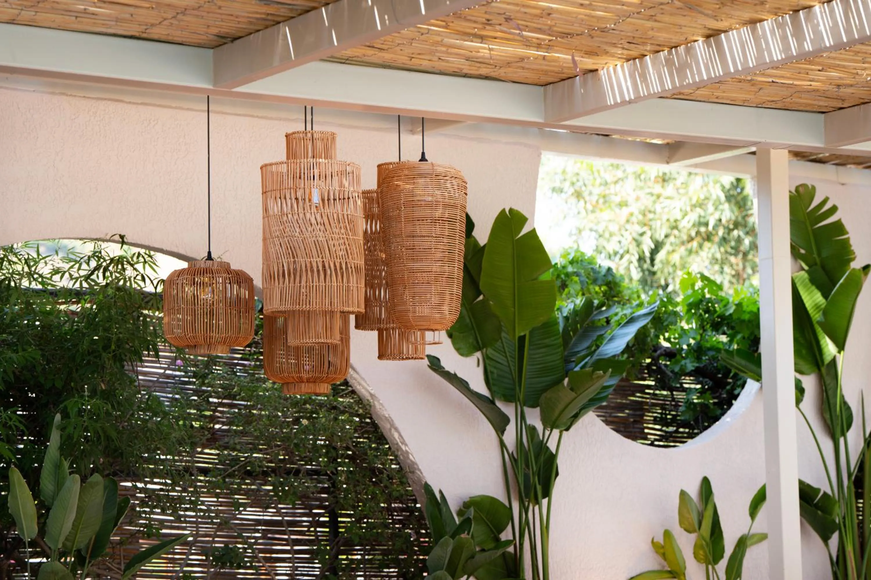 Day in Marti La Perla - Adult Only+16