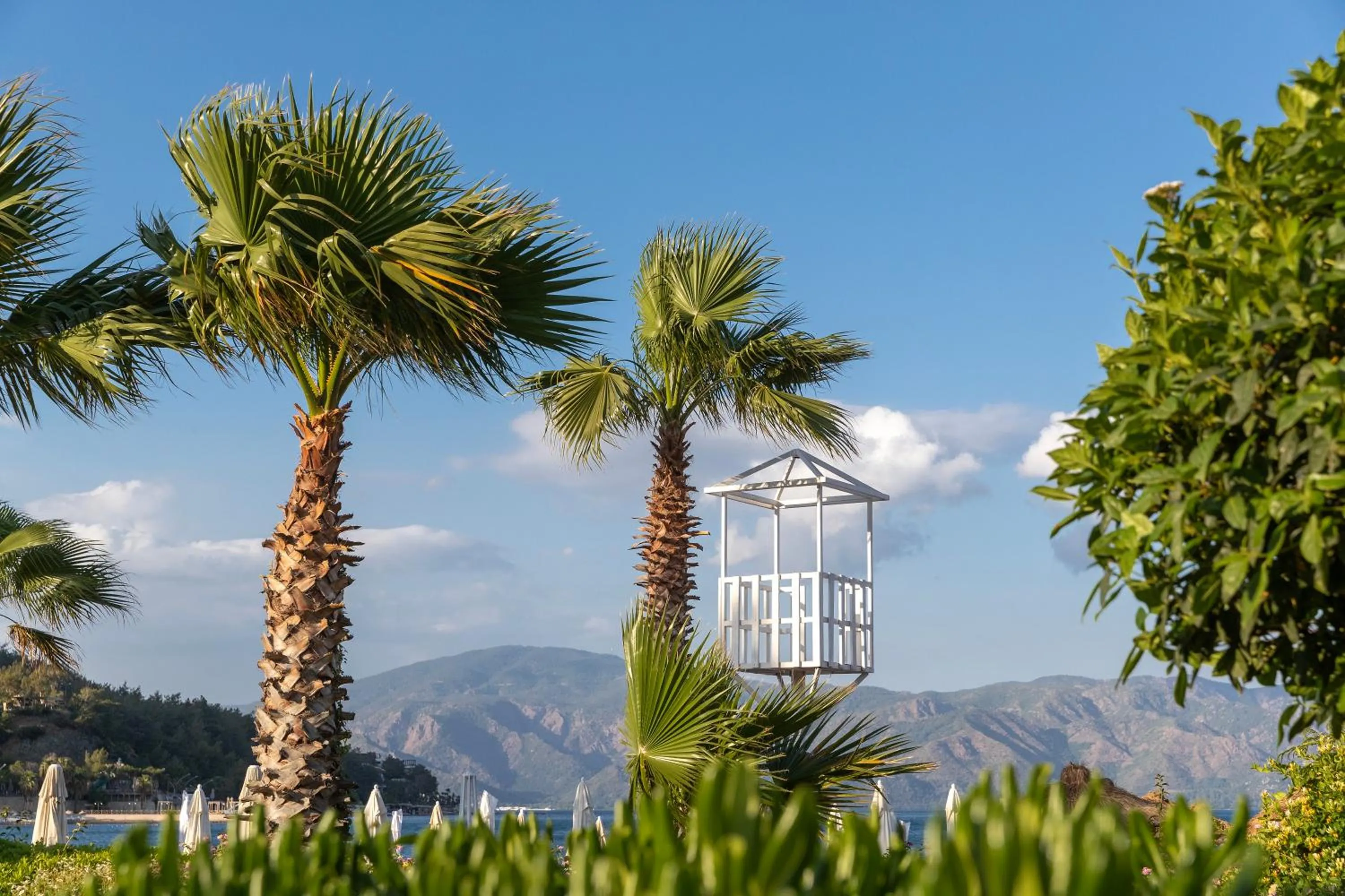 Natural landscape in Marti La Perla - Adult Only+16