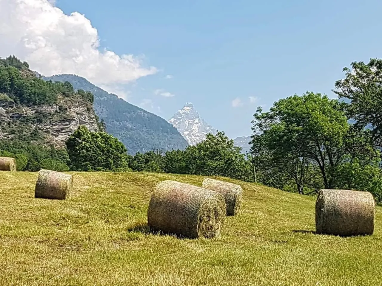 Natural landscape in Agriturismo La Clochette