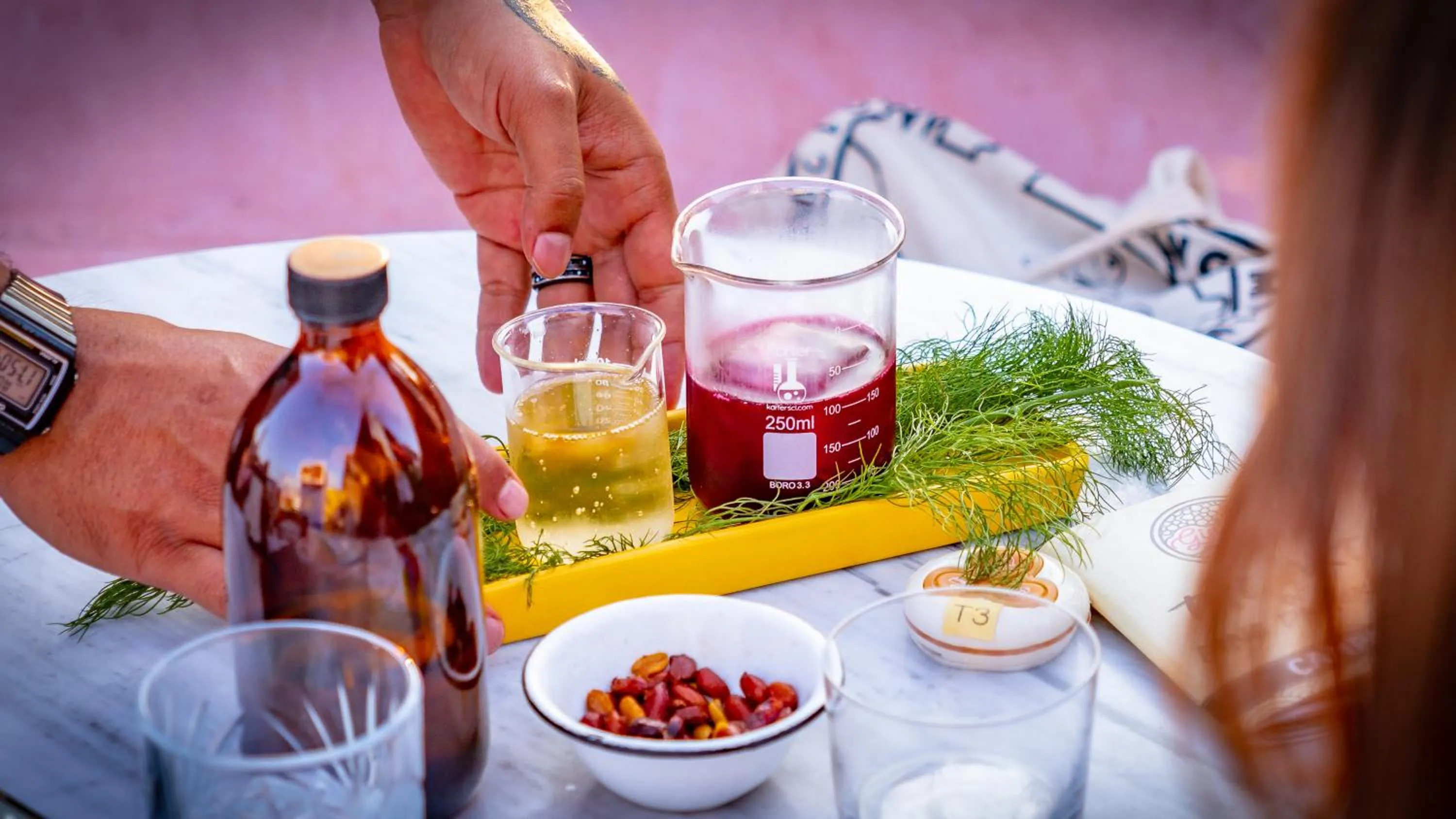 Lounge or bar in Hotel Suculenta Boutique