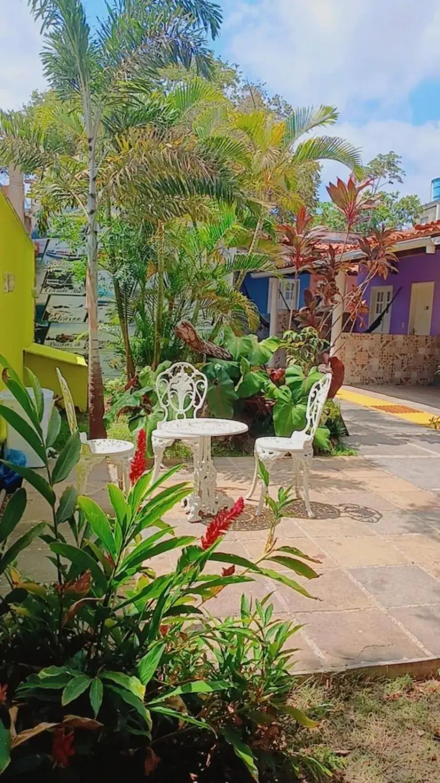 Garden view in Recanto das Arvores Garden view in Recanto das Arvores