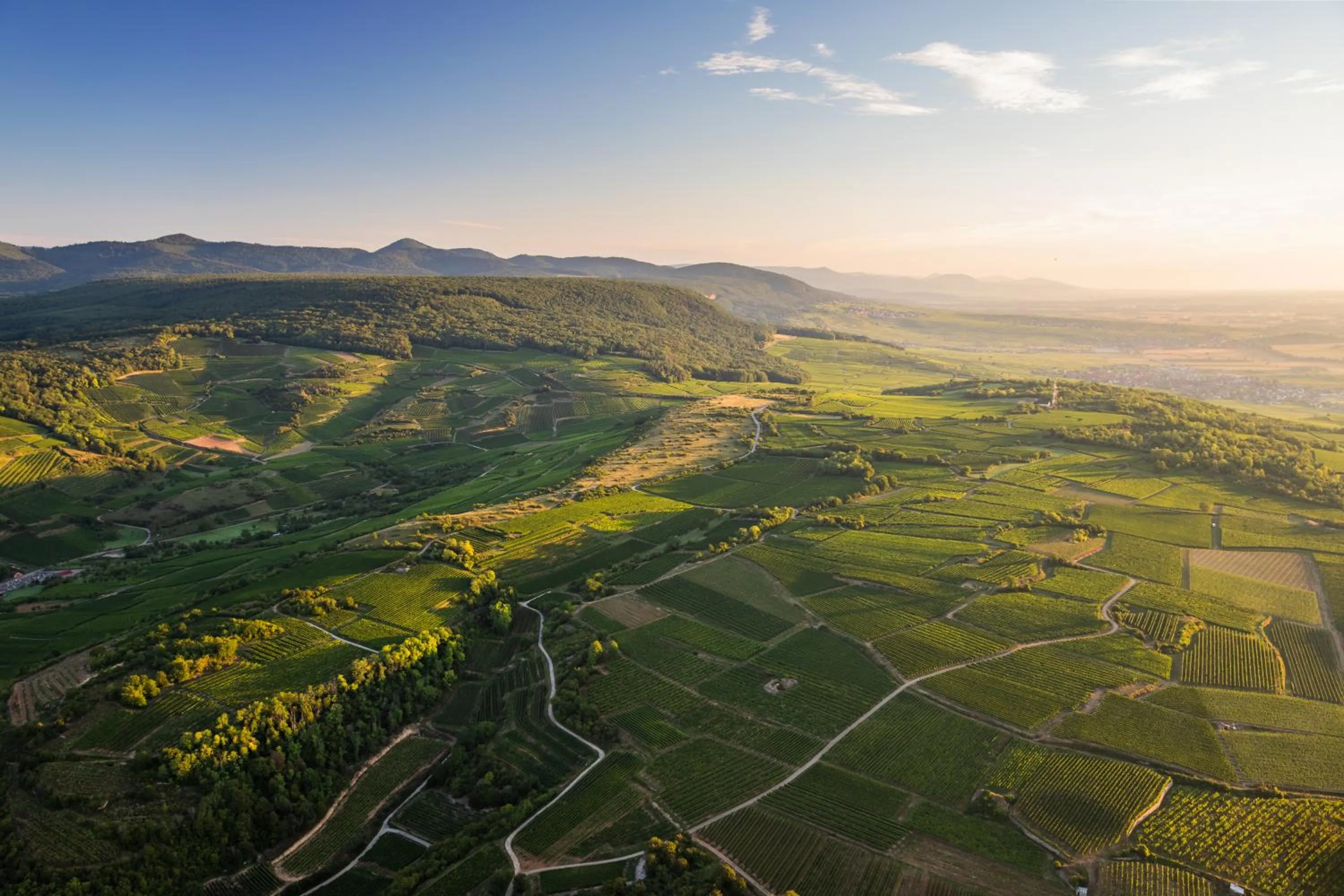 Natural landscape in Hôtel du Bollenberg - Restaurant "Côté Plaine" - Spa de la Colline