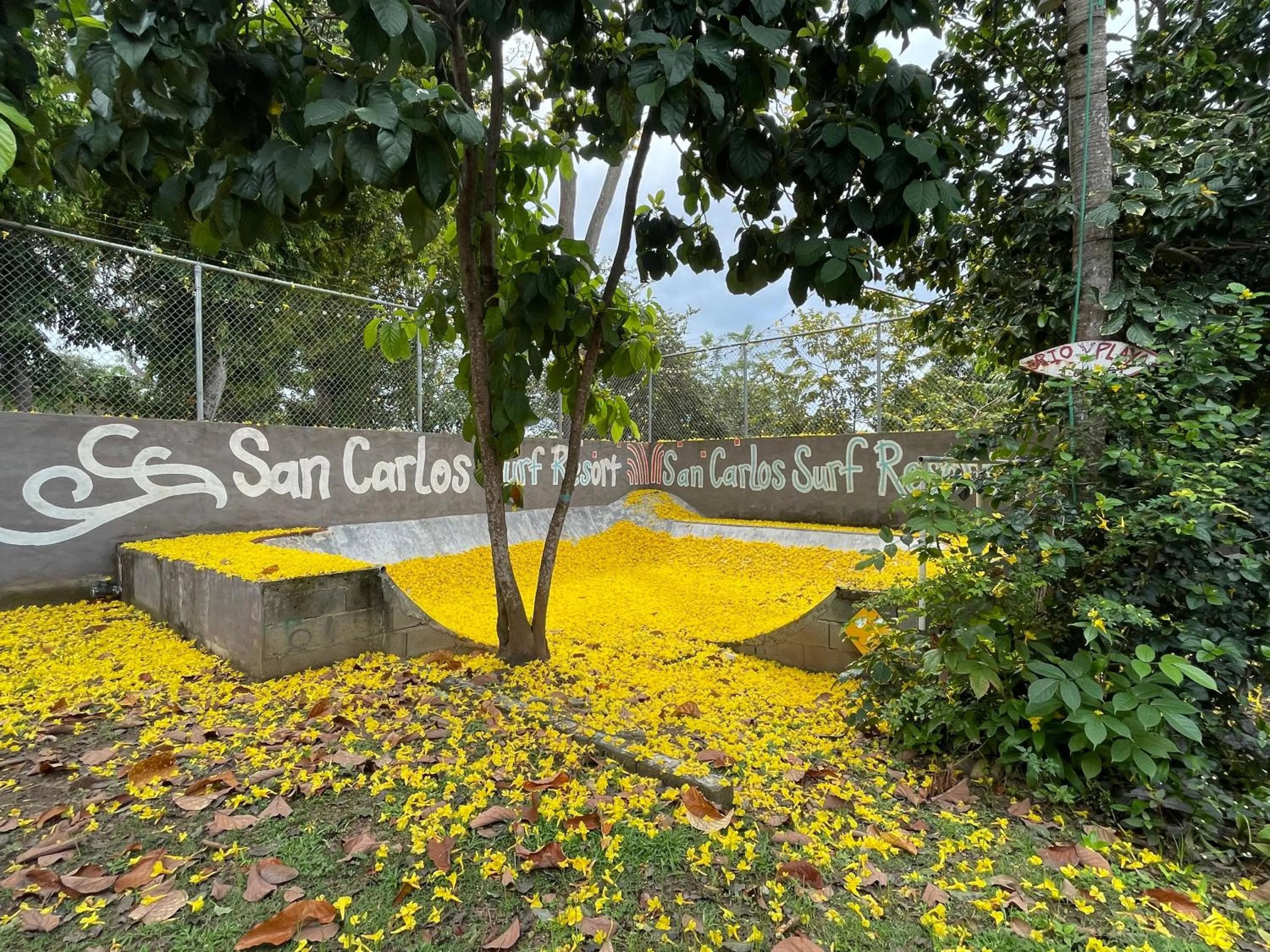 San Carlos Surf Resort & Eco Lodge