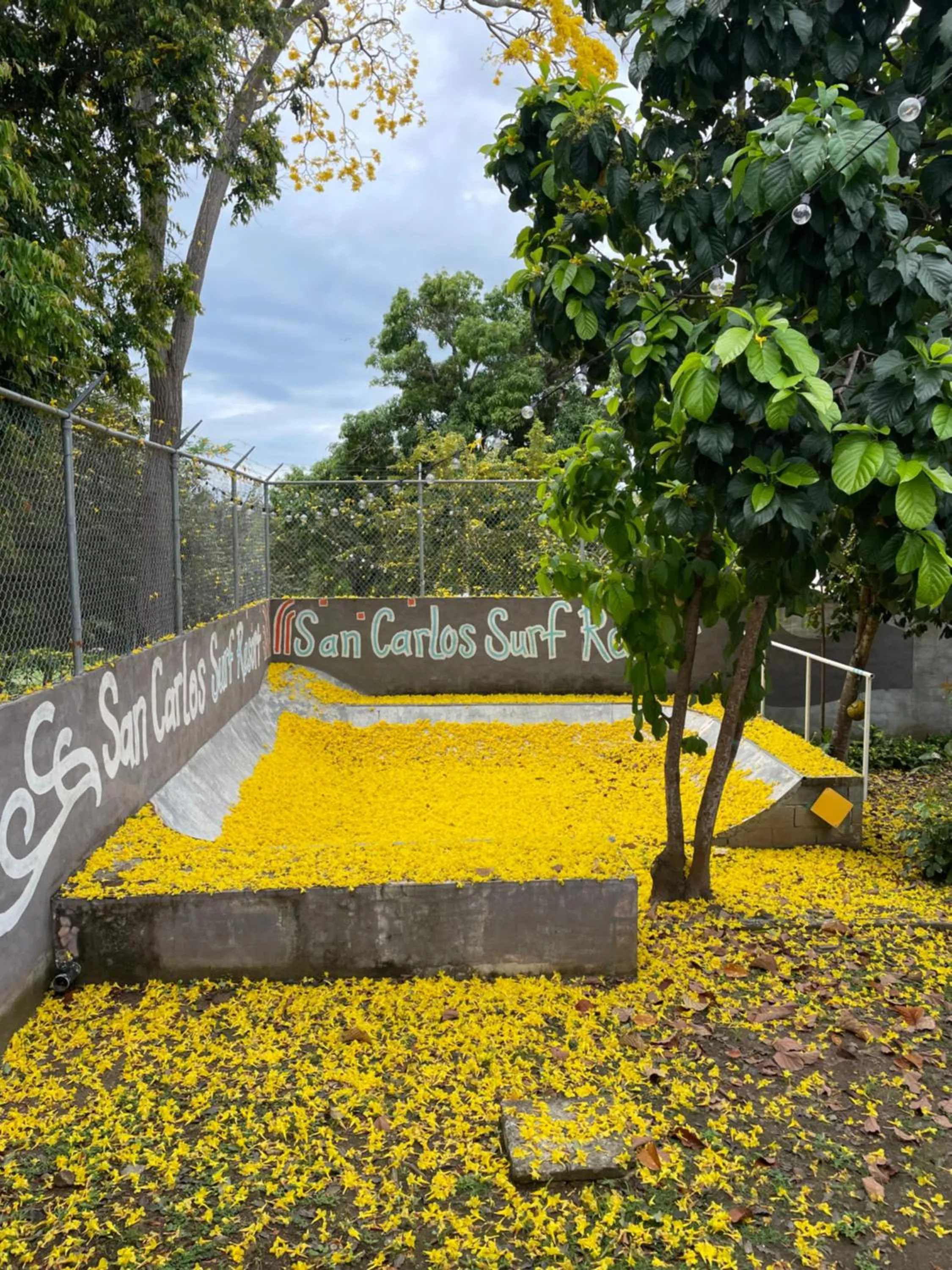 San Carlos Surf Resort & Eco Lodge