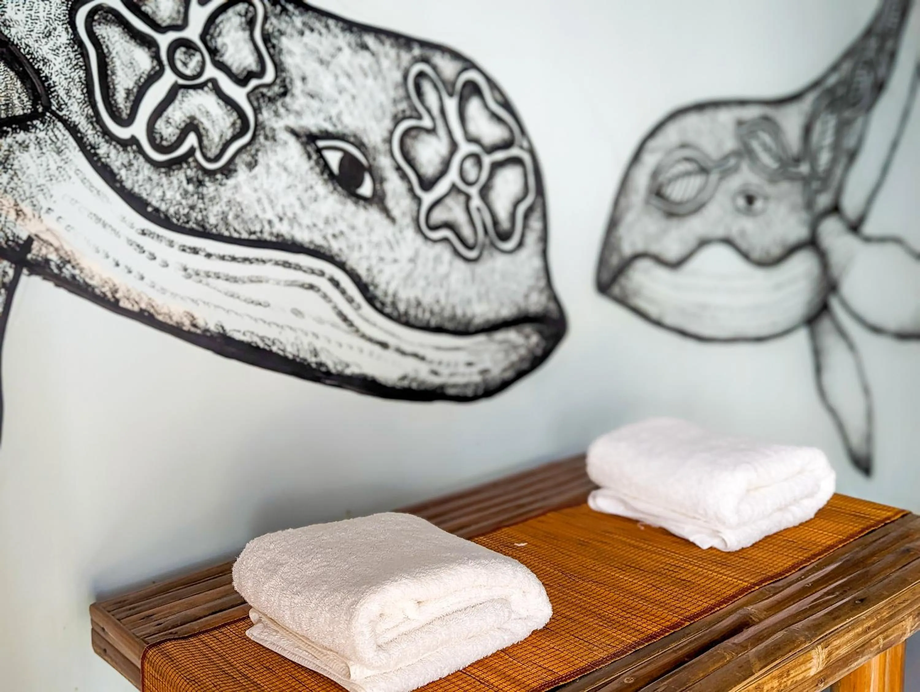 Lexias Hostel and Workspace - El Nido