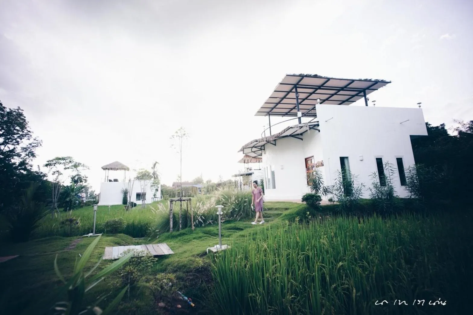 View (from property/room) in Nannirun Resort