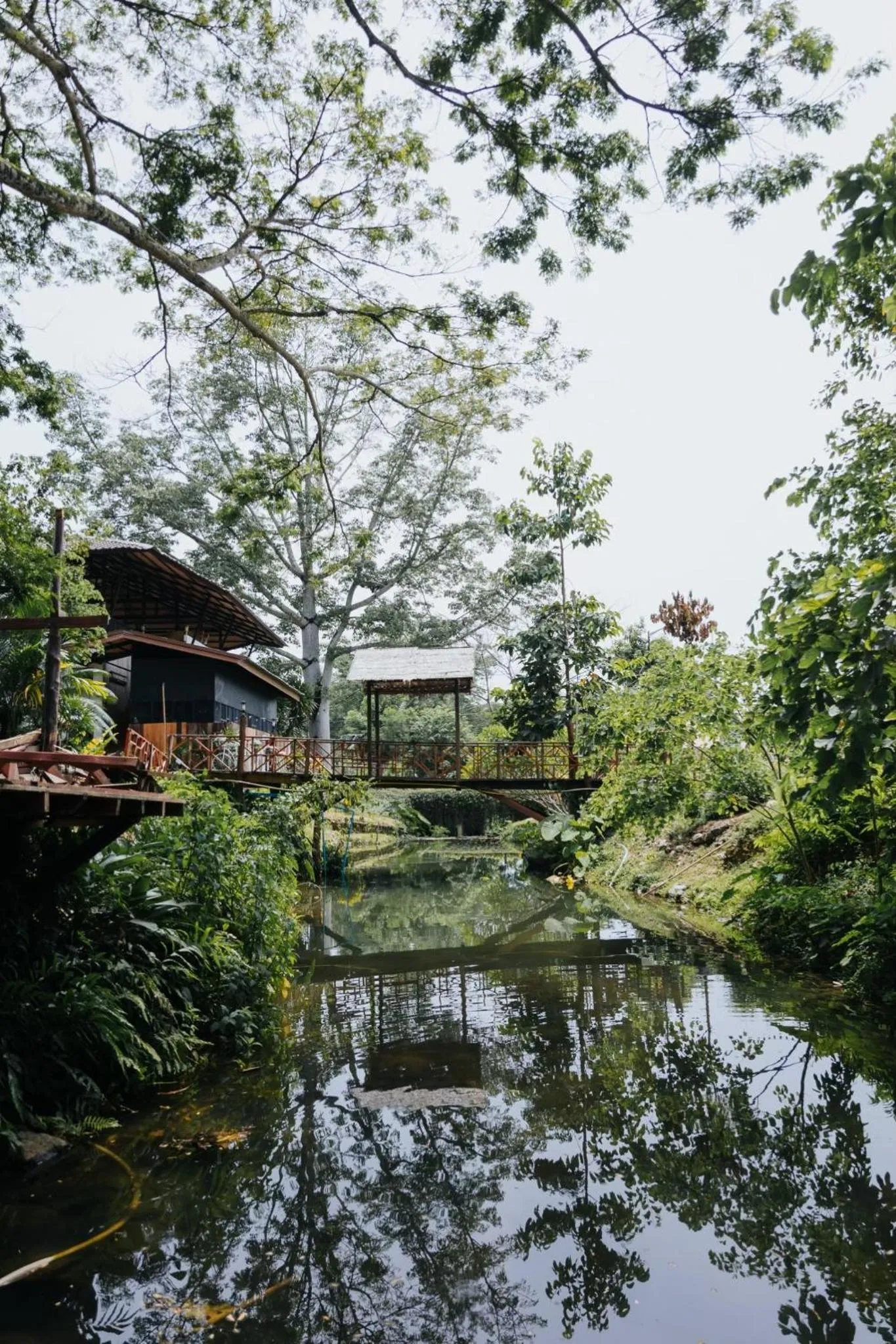 View (from property/room) in Nannirun Resort