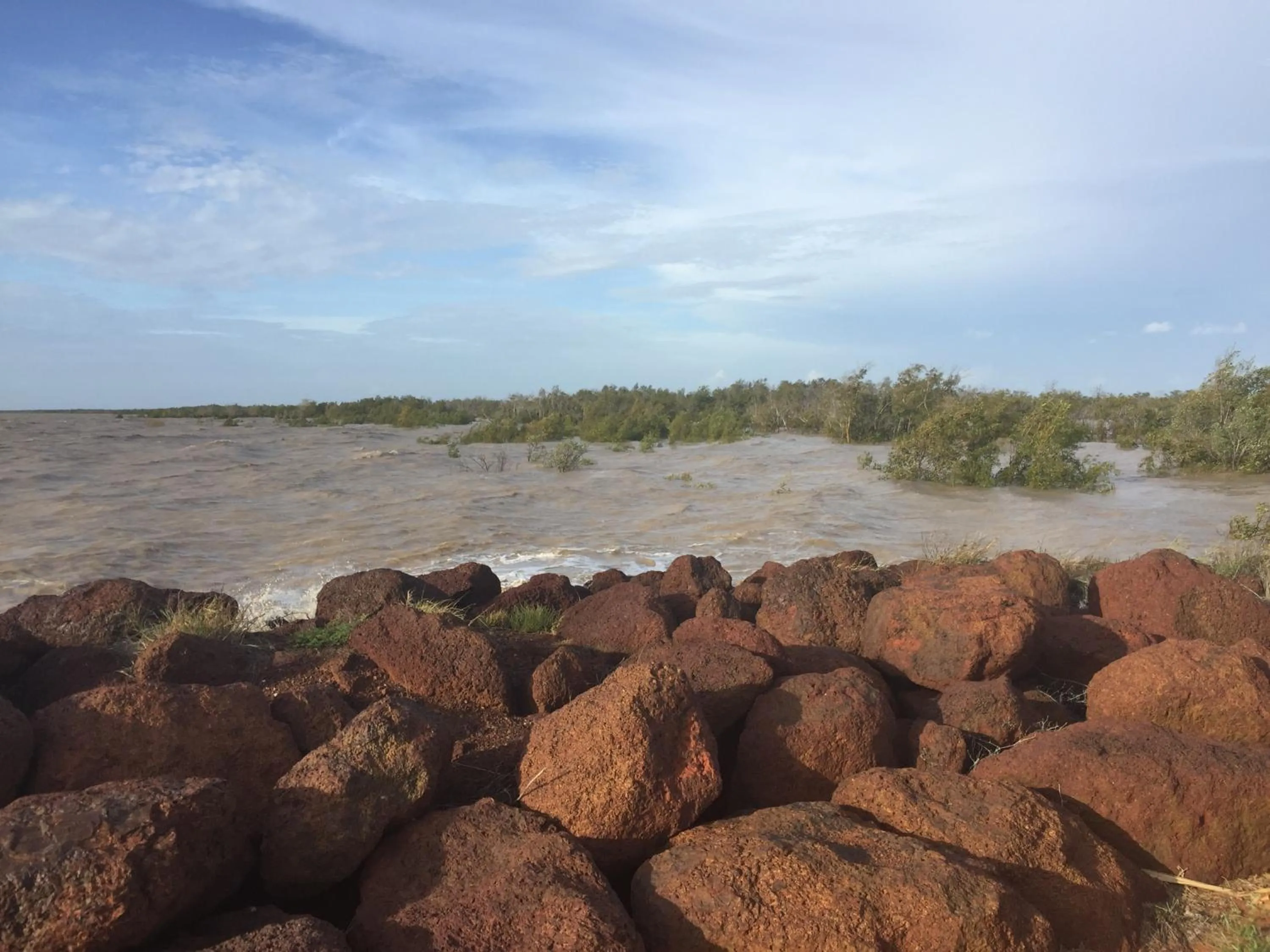 Natural landscape in Mud Crab Motel