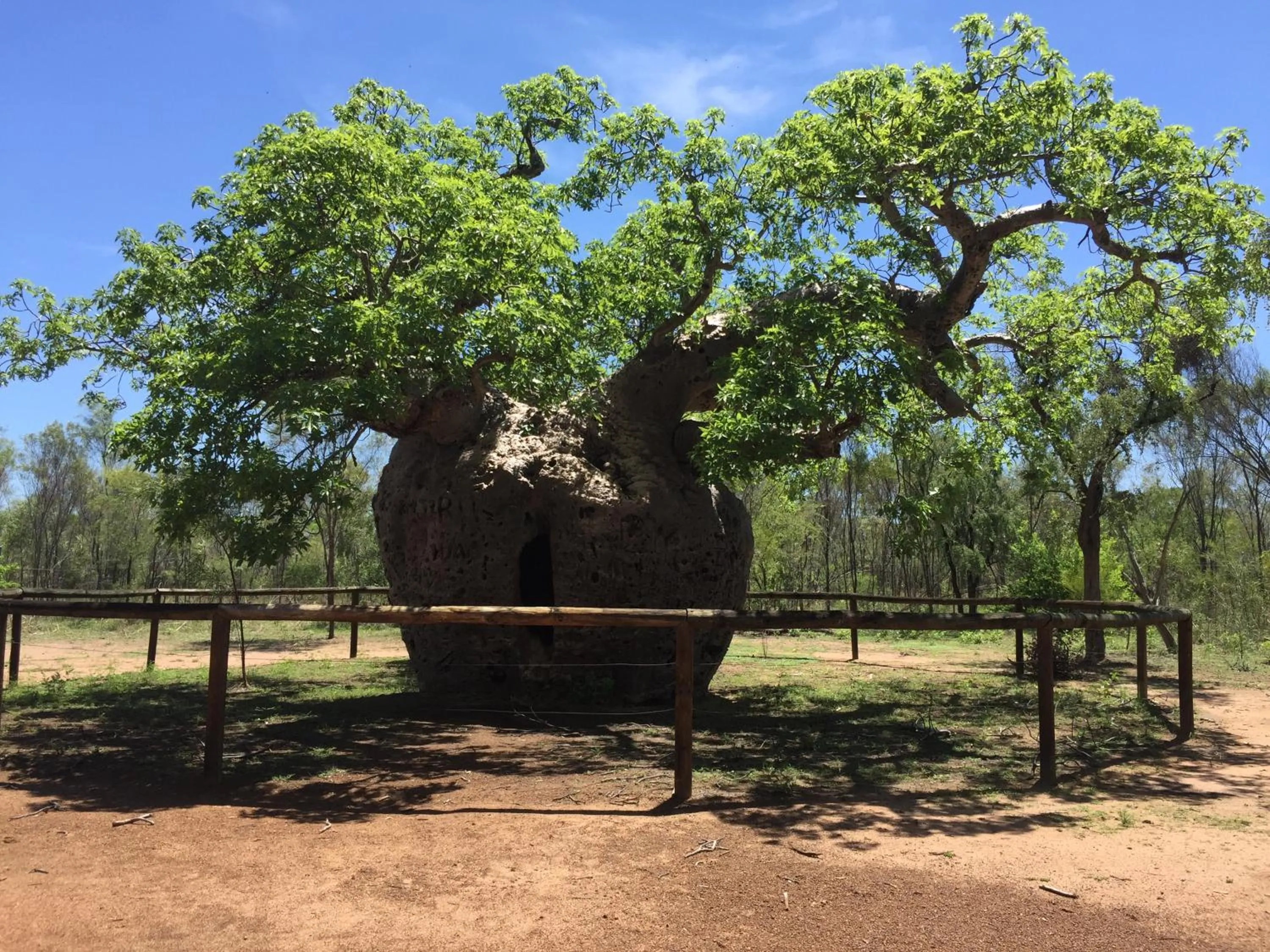 Location in Mud Crab Motel
