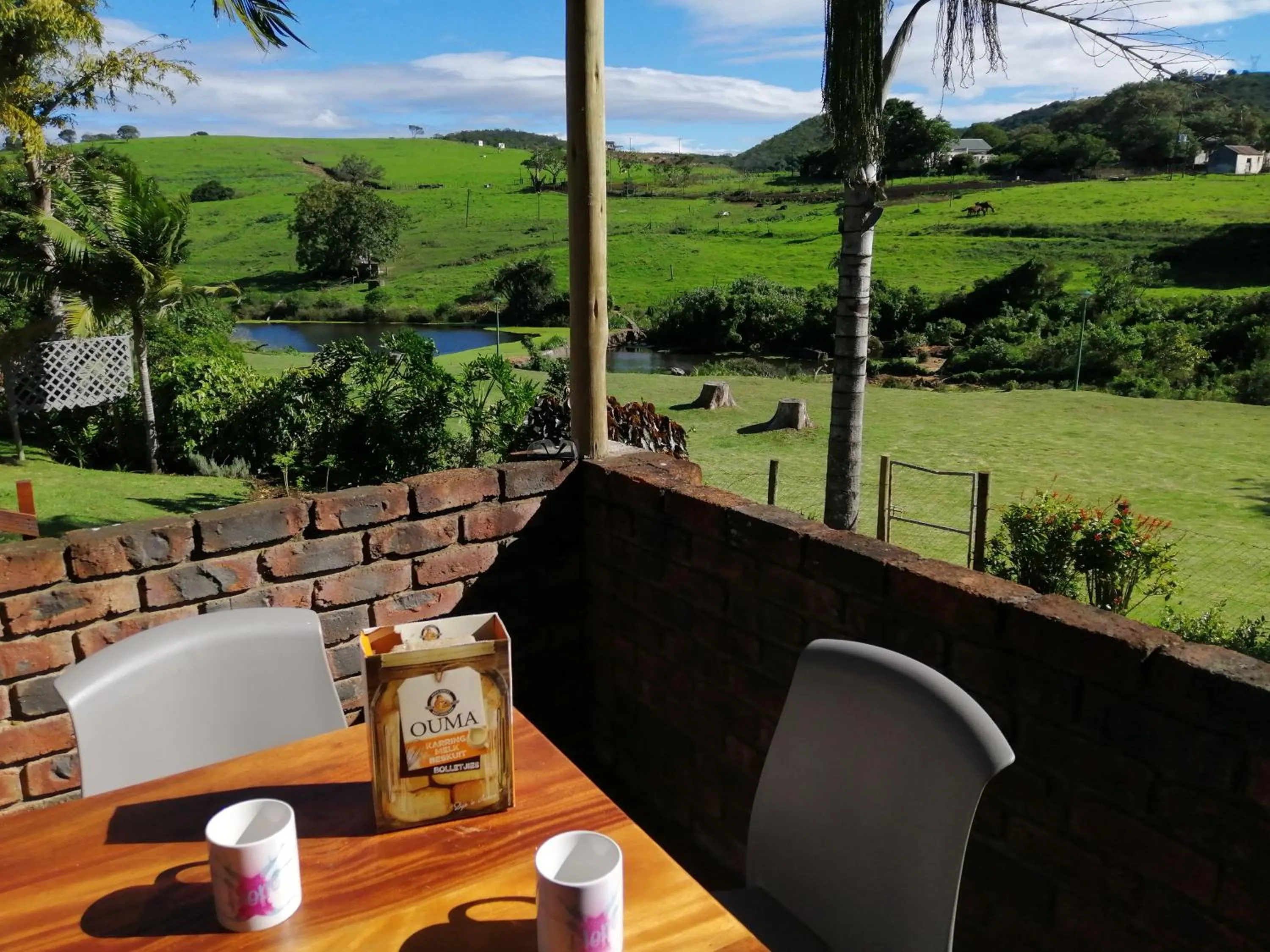 Balcony/Terrace in Farm View Guest House