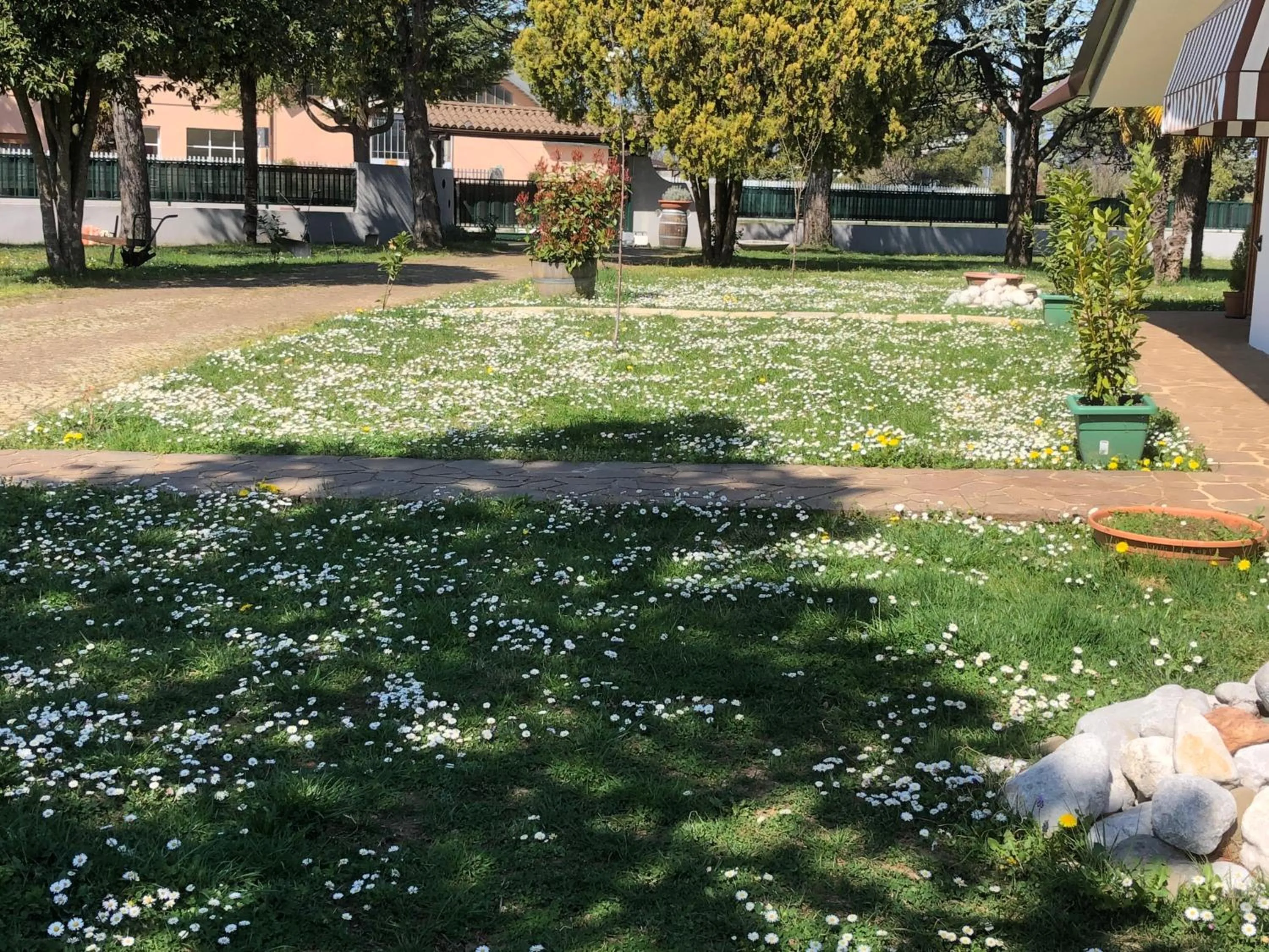 Garden view in B & B Chic