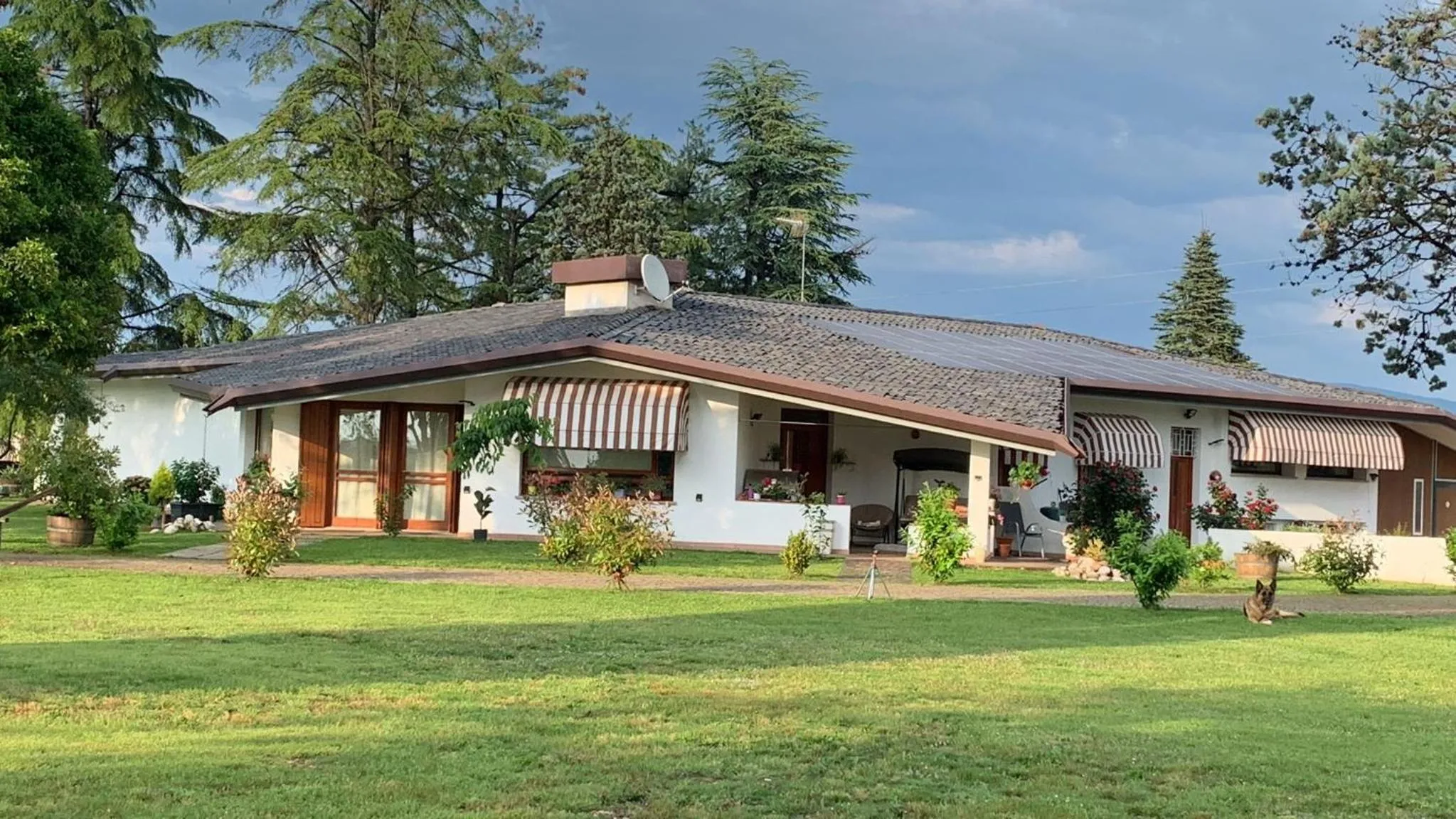 Property building in B & B Chic