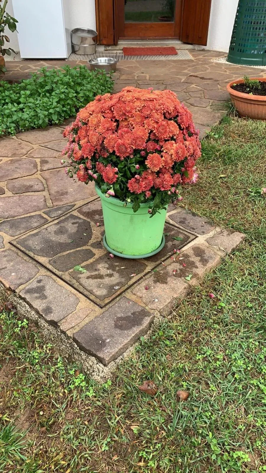 Garden in B & B Chic