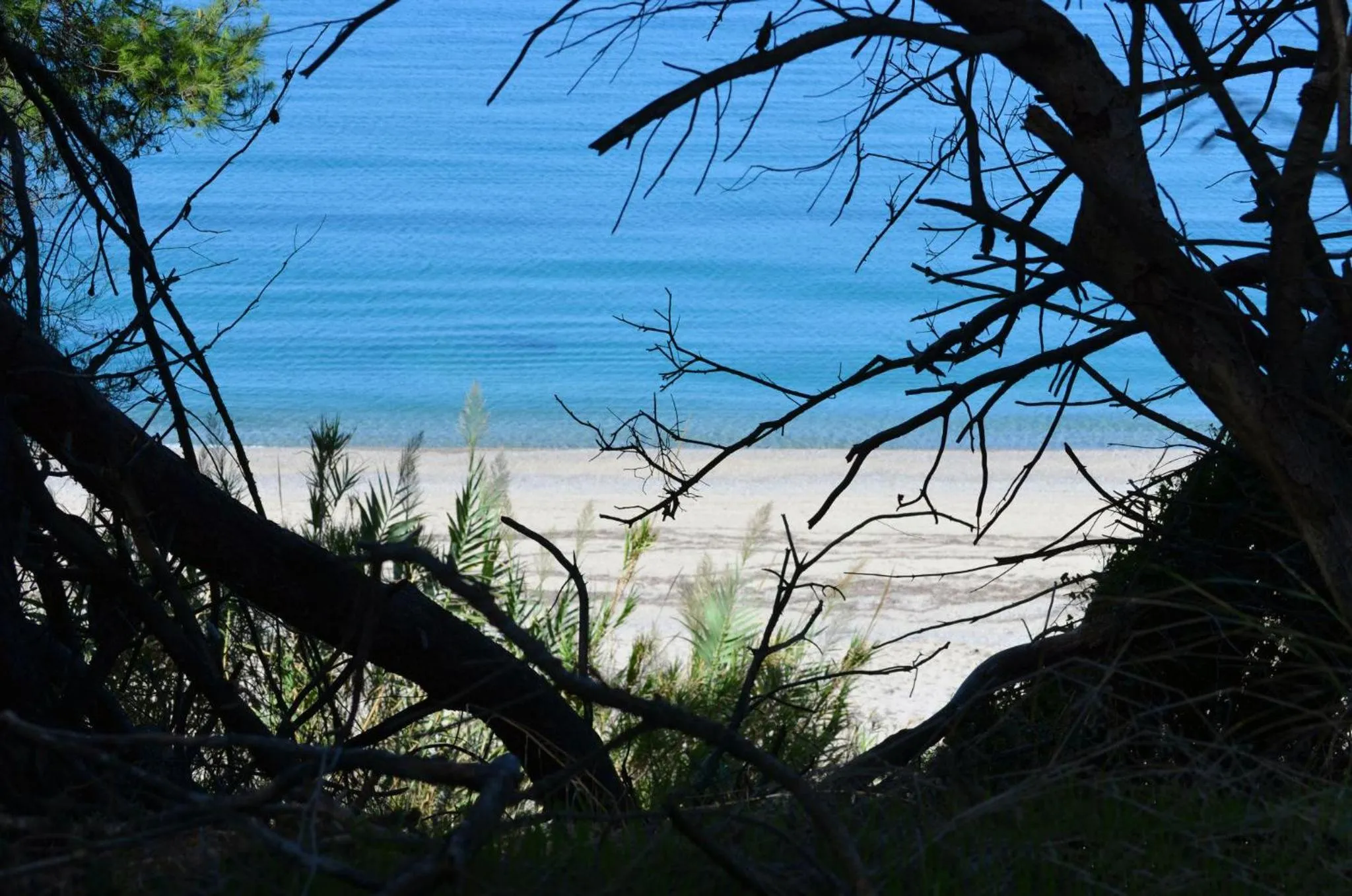 Natural landscape in Iraklis Hotel