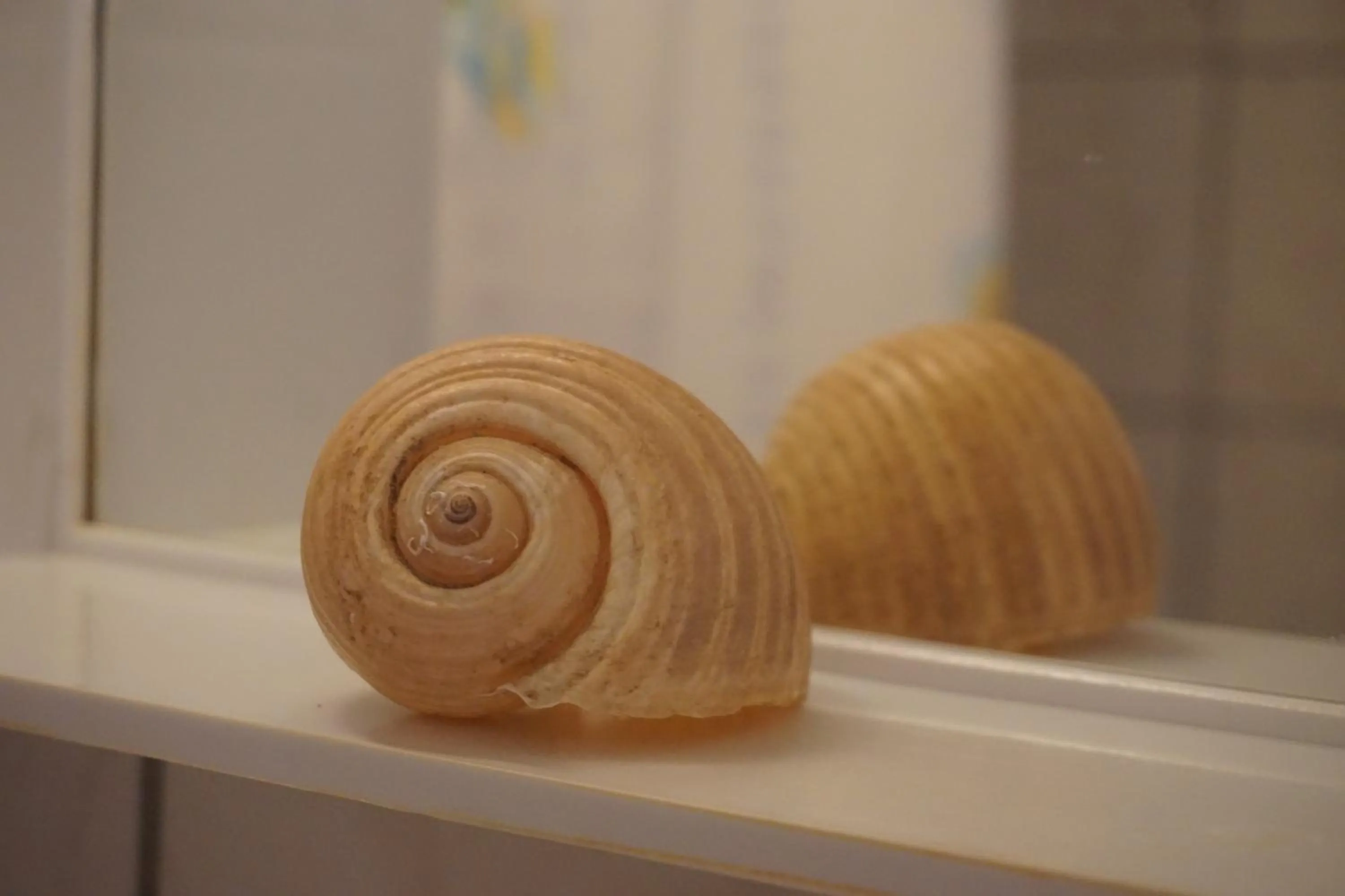 Decorative detail in Iraklis Hotel