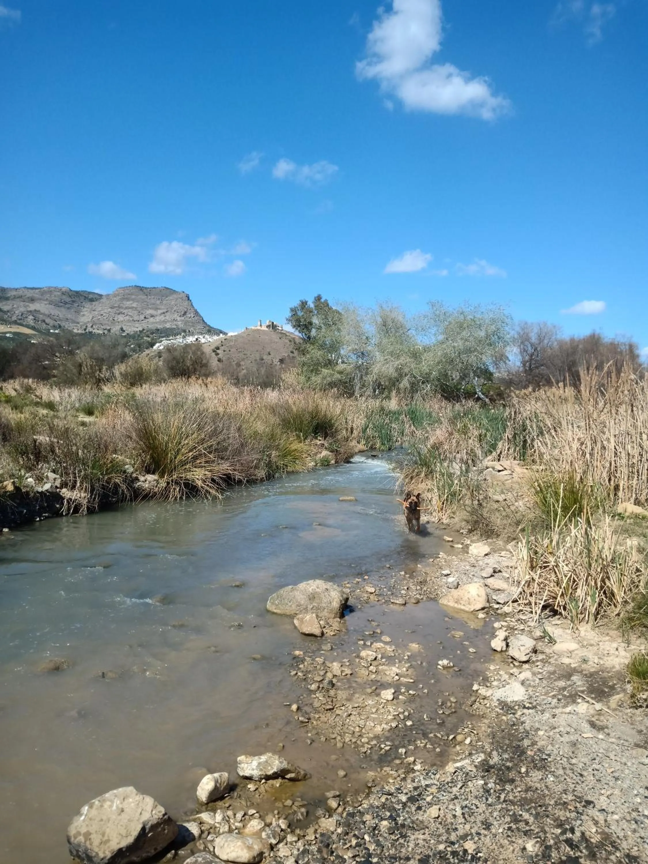 Neighbourhood in El Cielo Azul