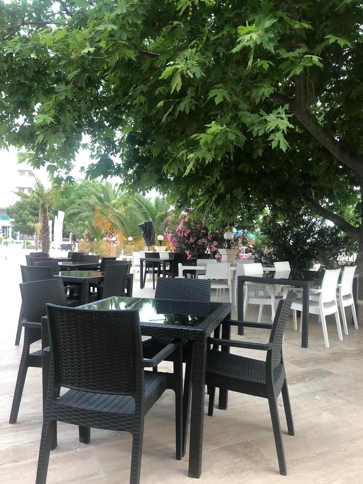 Grand Vuslat Erdek