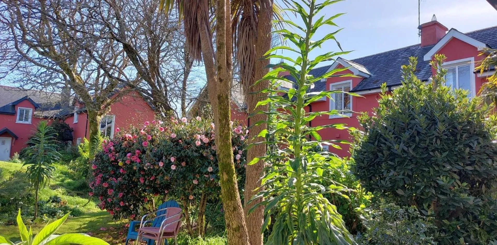 Property building in Rolfs Country House