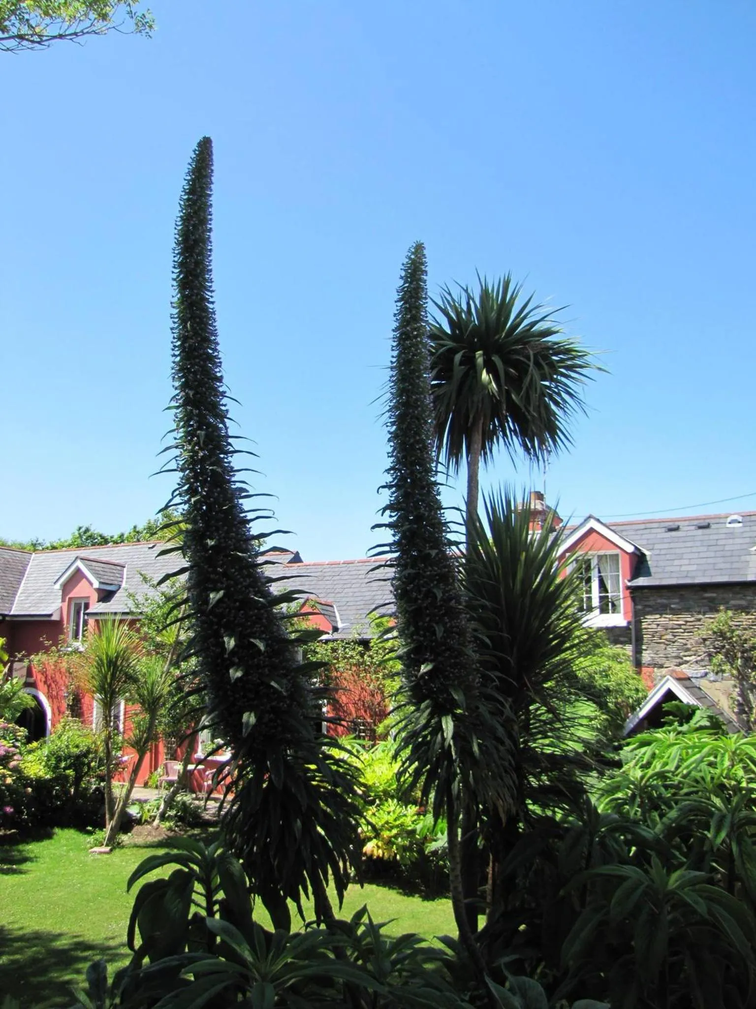 Garden in Rolfs Country House