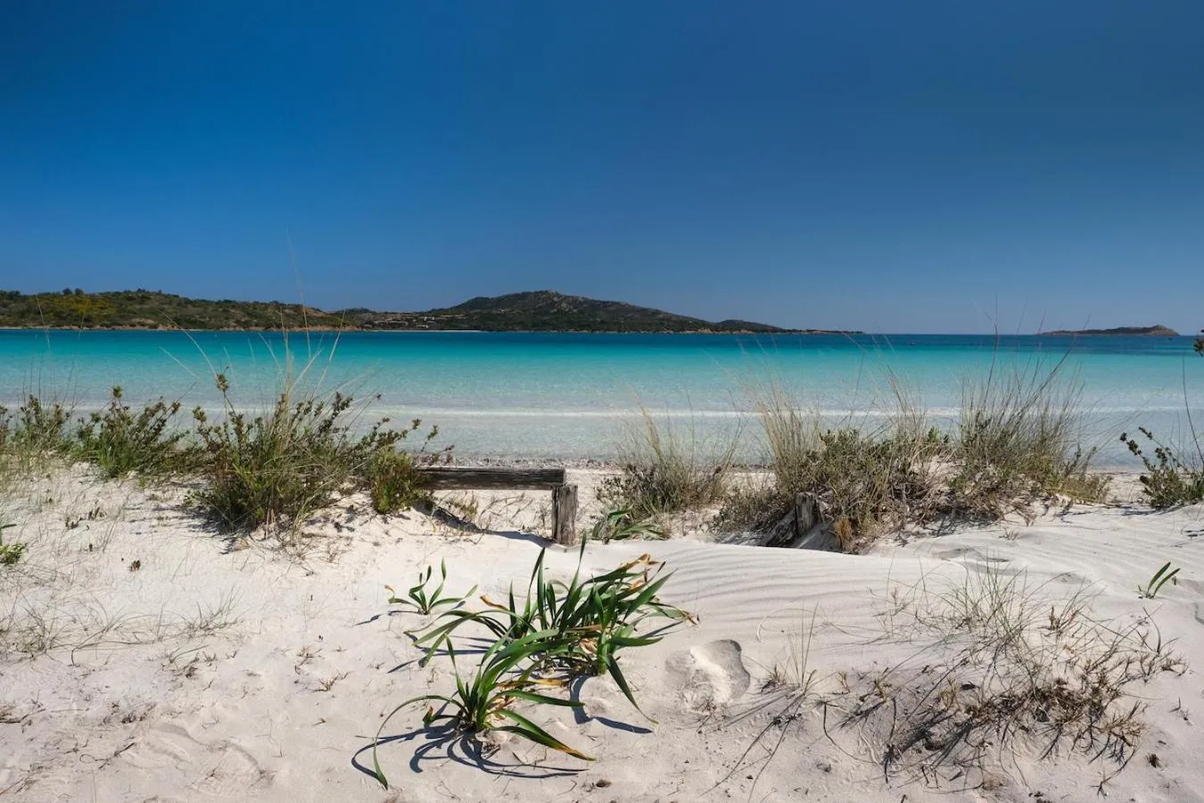 Beach in La Pecora Nera B&B