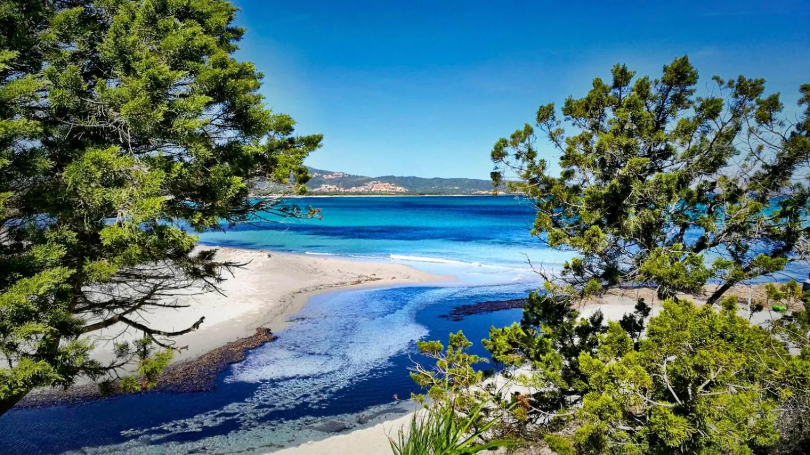Beach in La Pecora Nera B&B