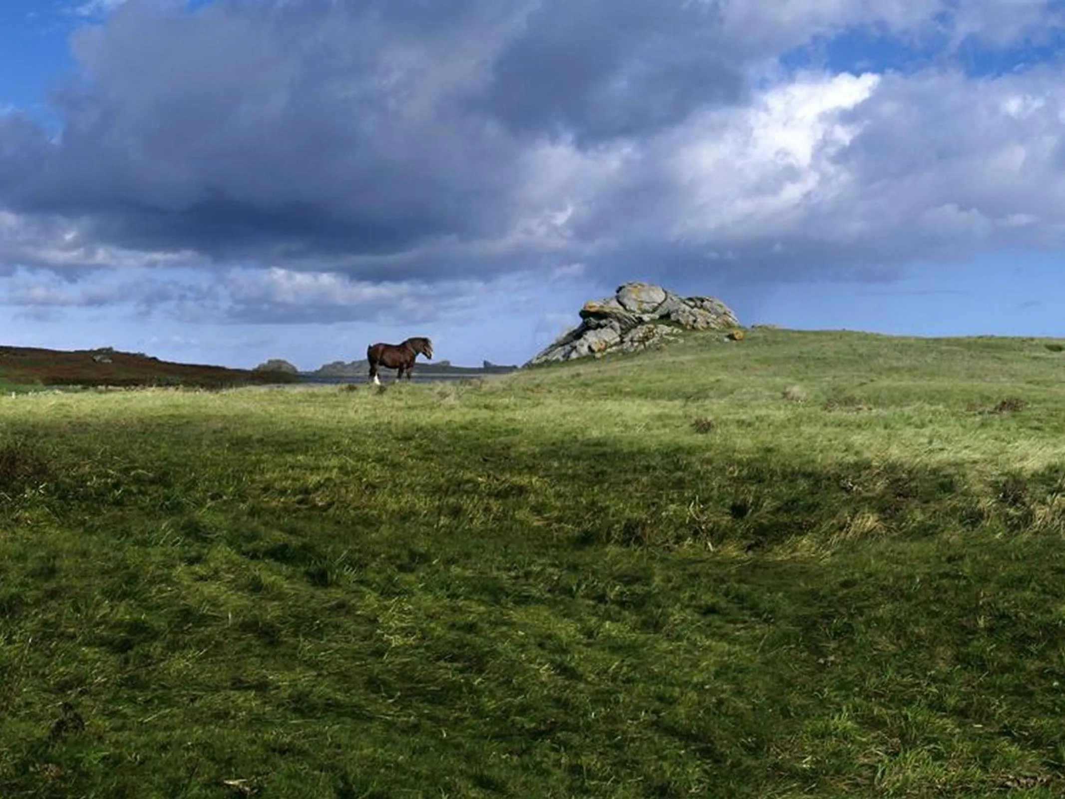 Horse-riding in Logis Le Château de Sable