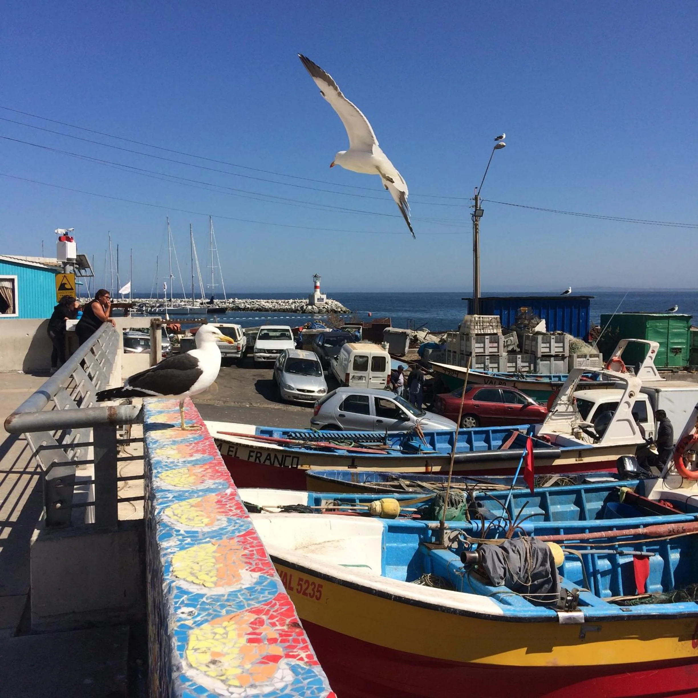 Nearby landmark in Bahía Luz Hostal