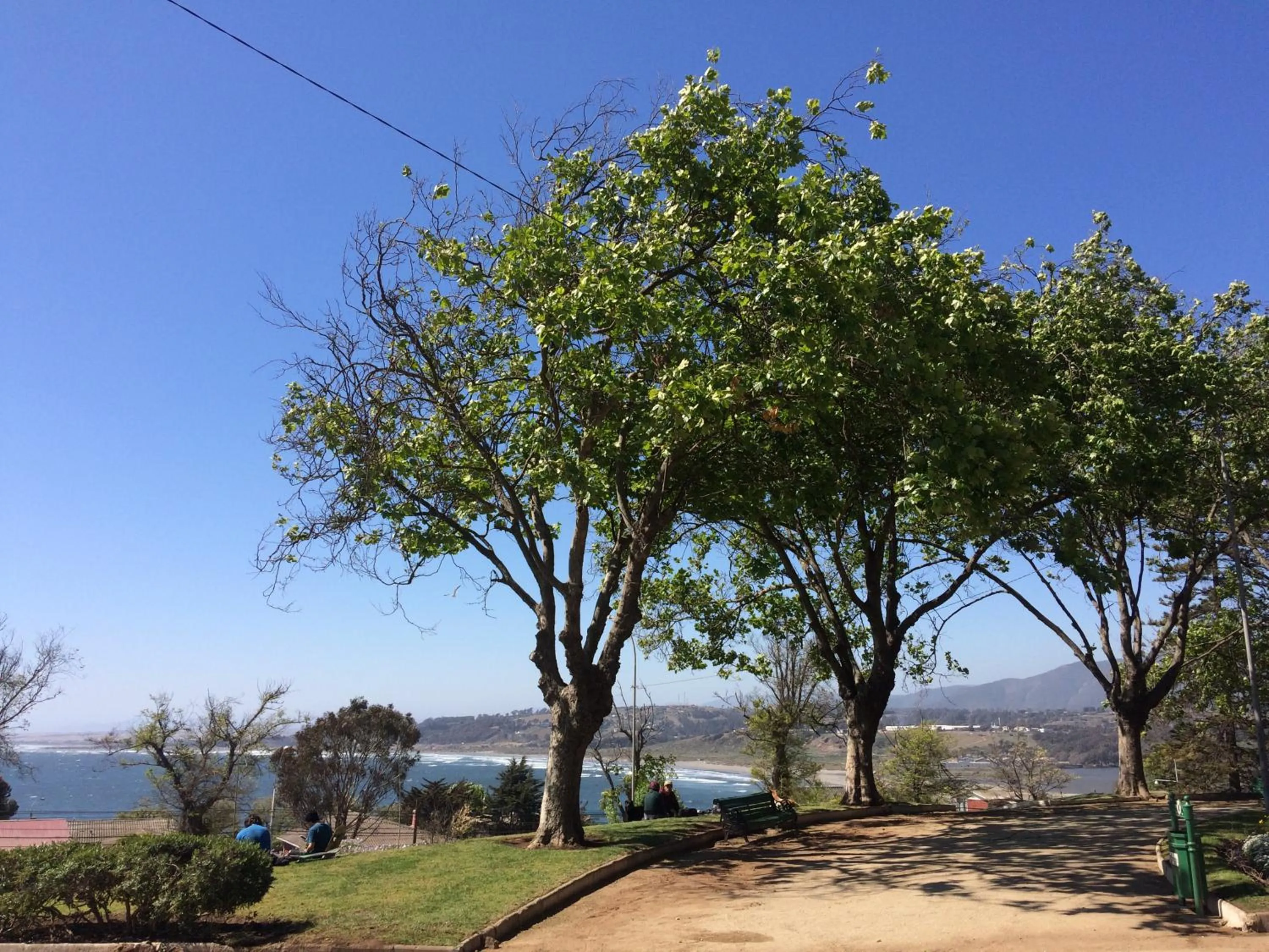 Nearby landmark in Bahía Luz Hostal